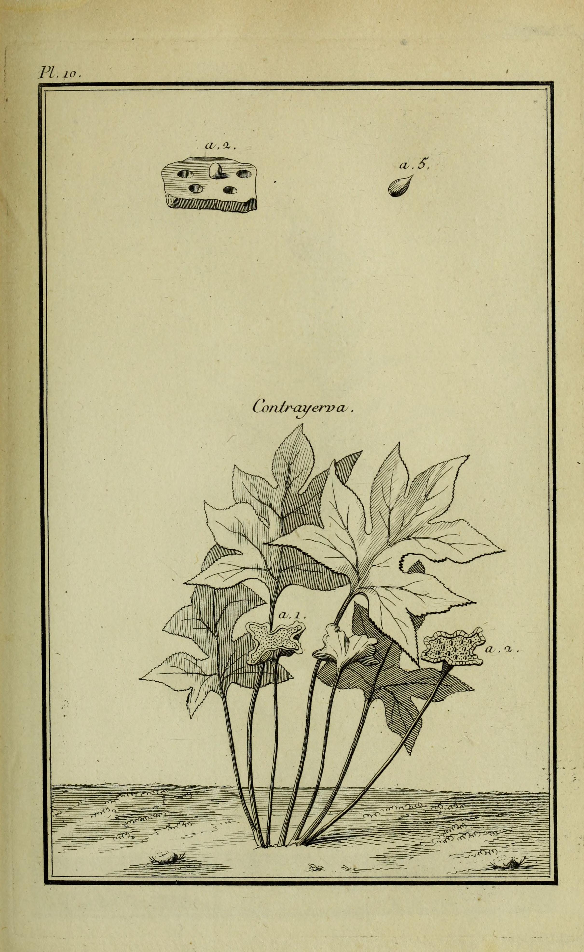 no full size  illustration available (3a)