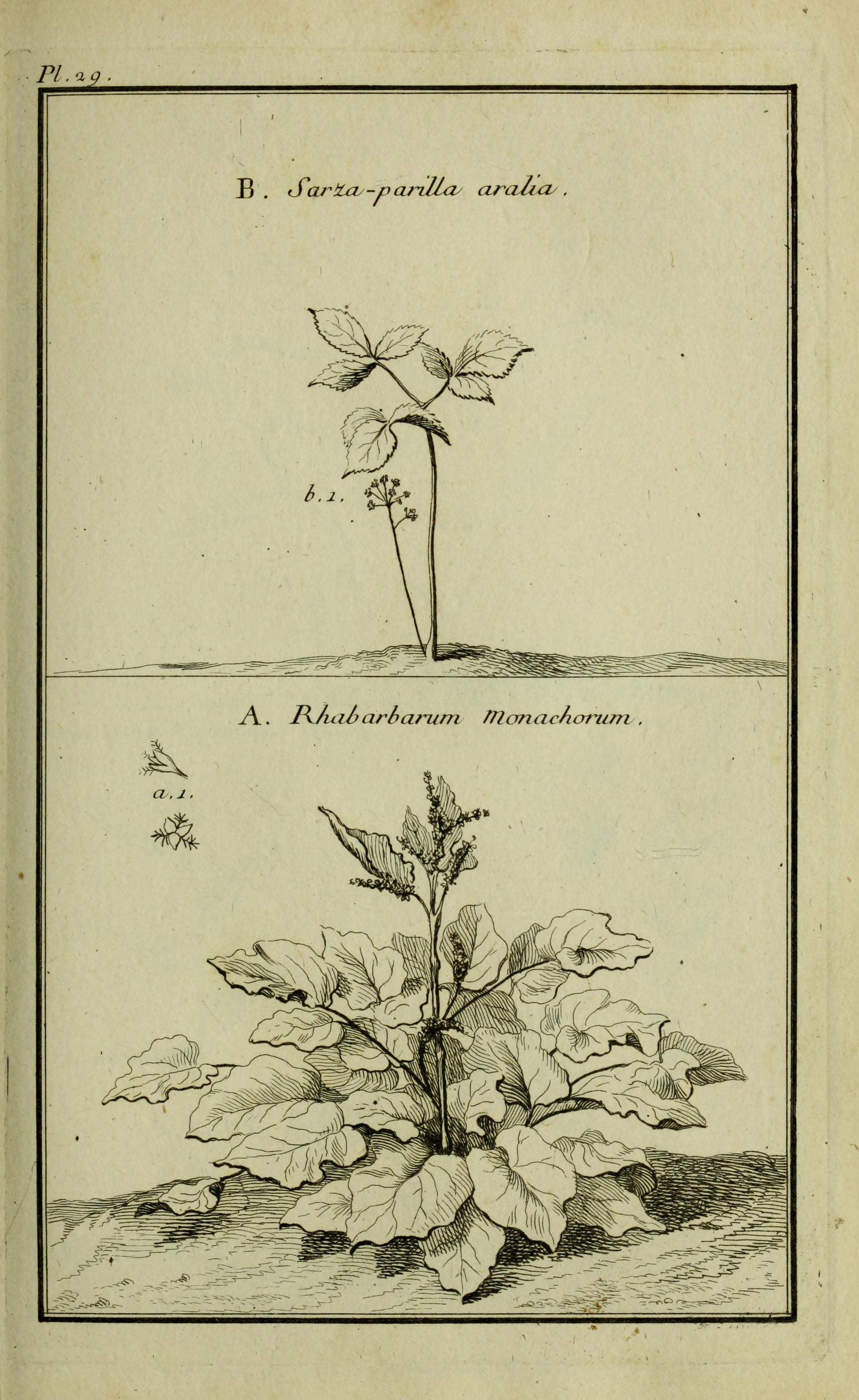 no full size  illustration available (3a)