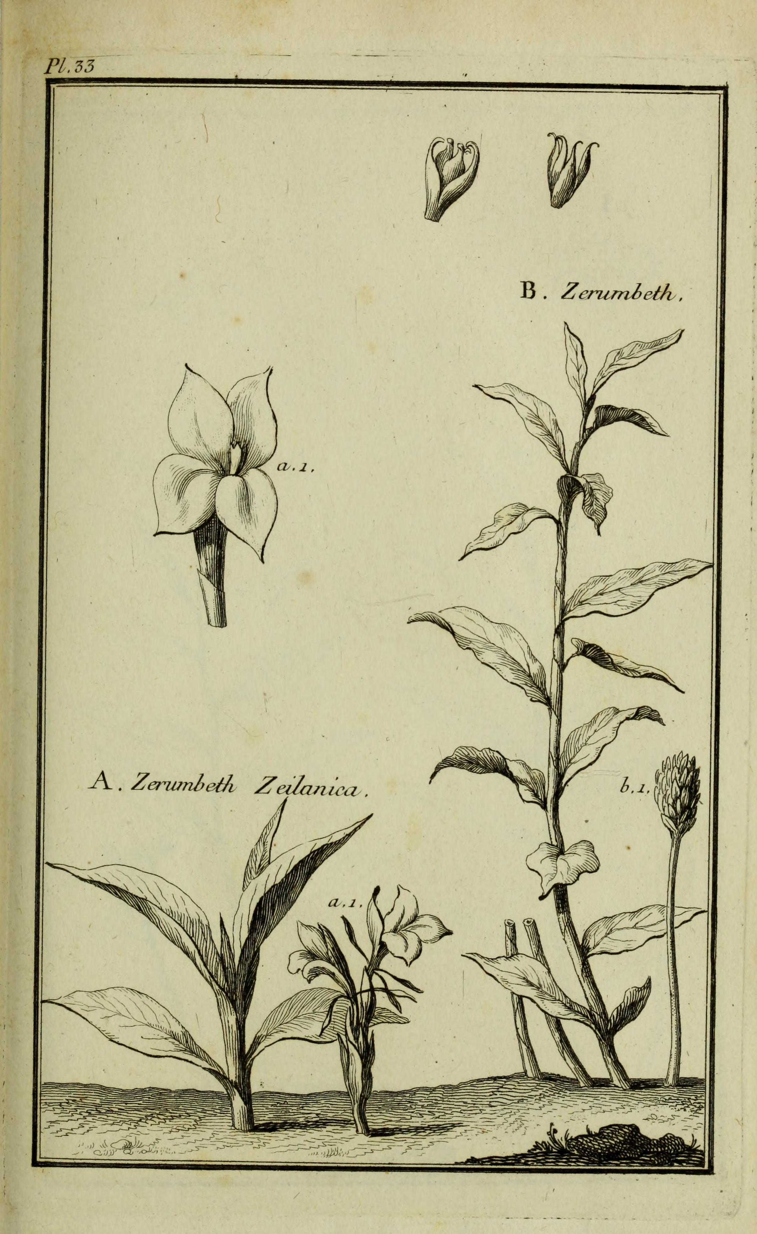 no full size  illustration available (3a)