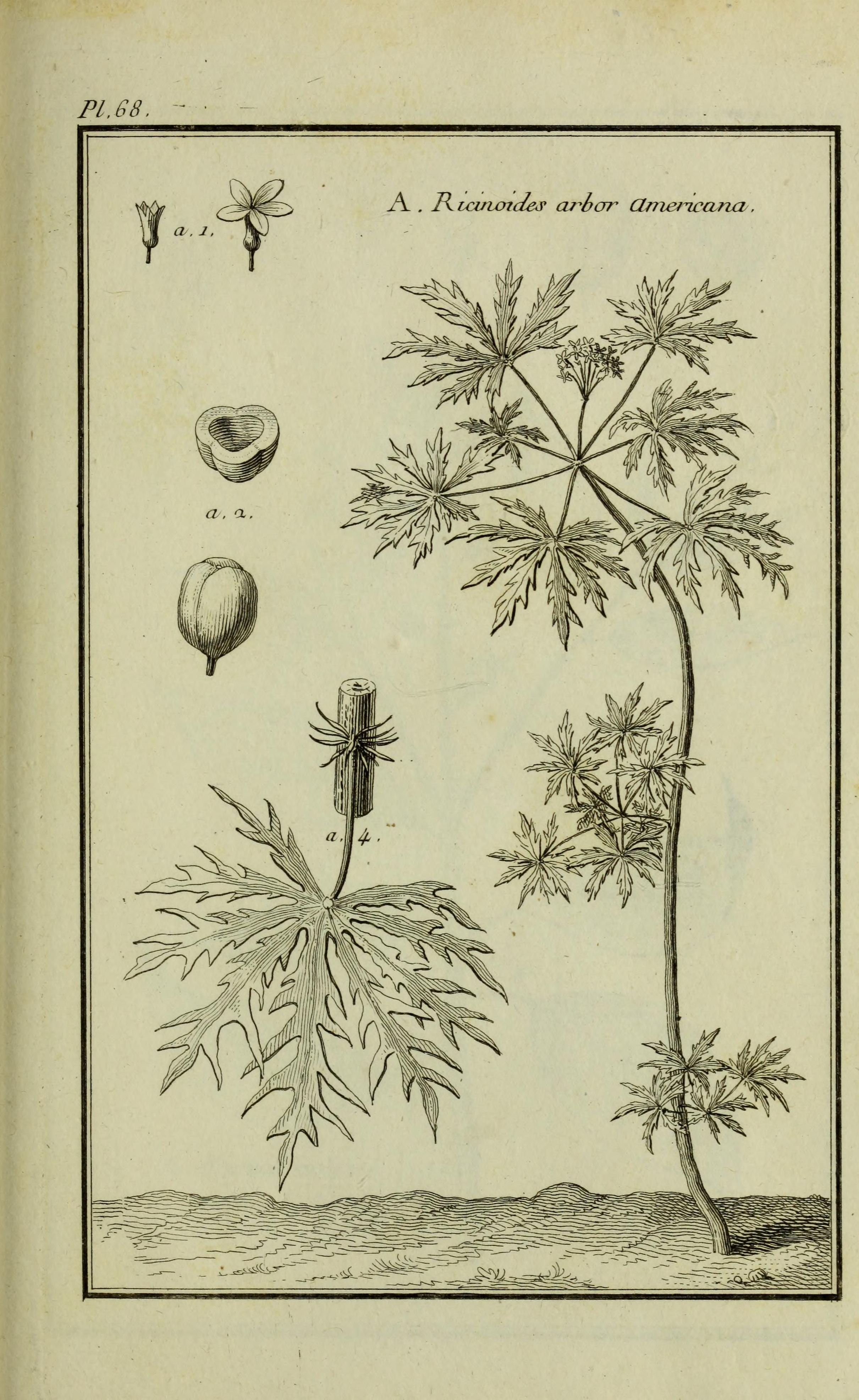 no full size  illustration available (3a)