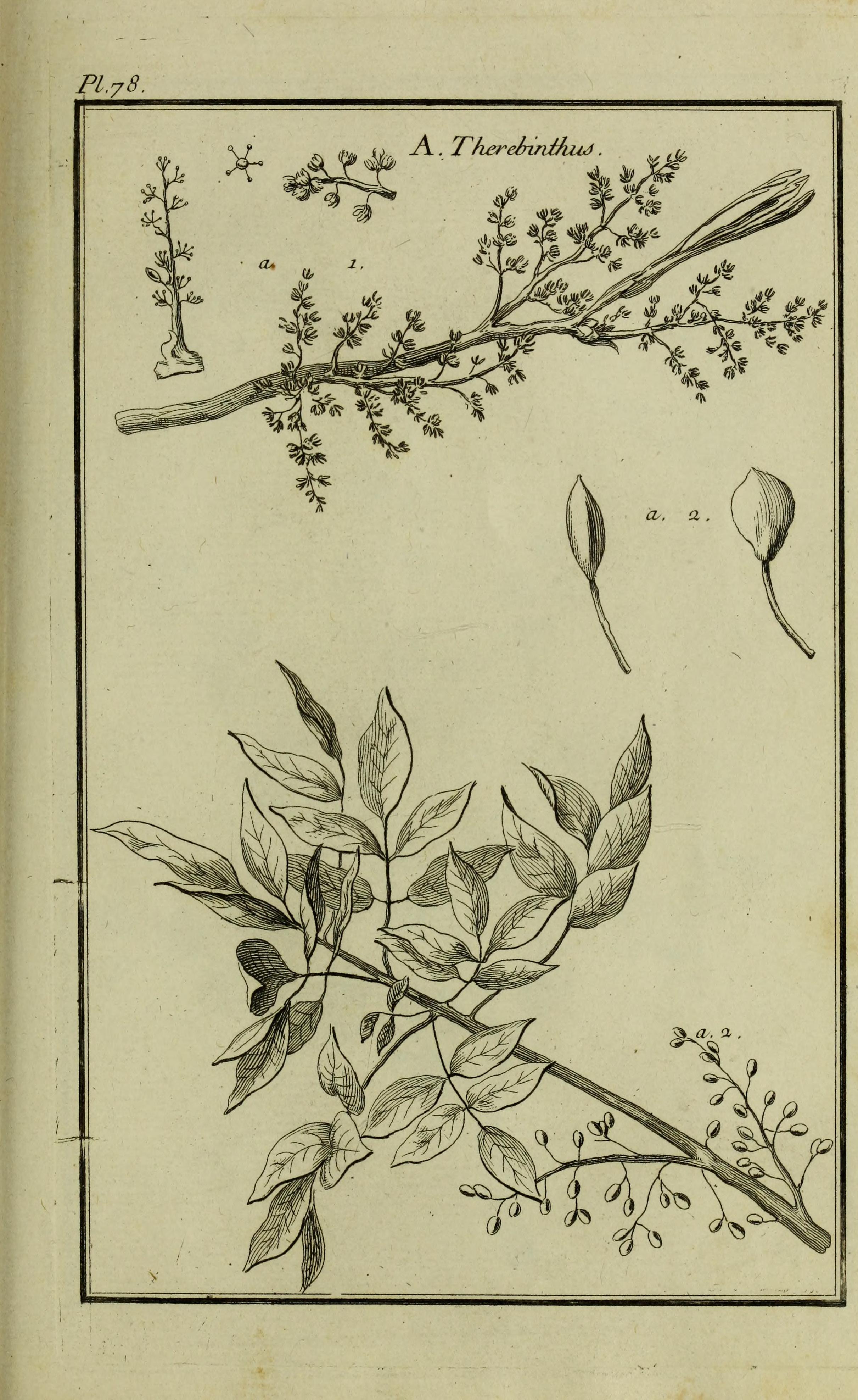 no full size  illustration available (3a)