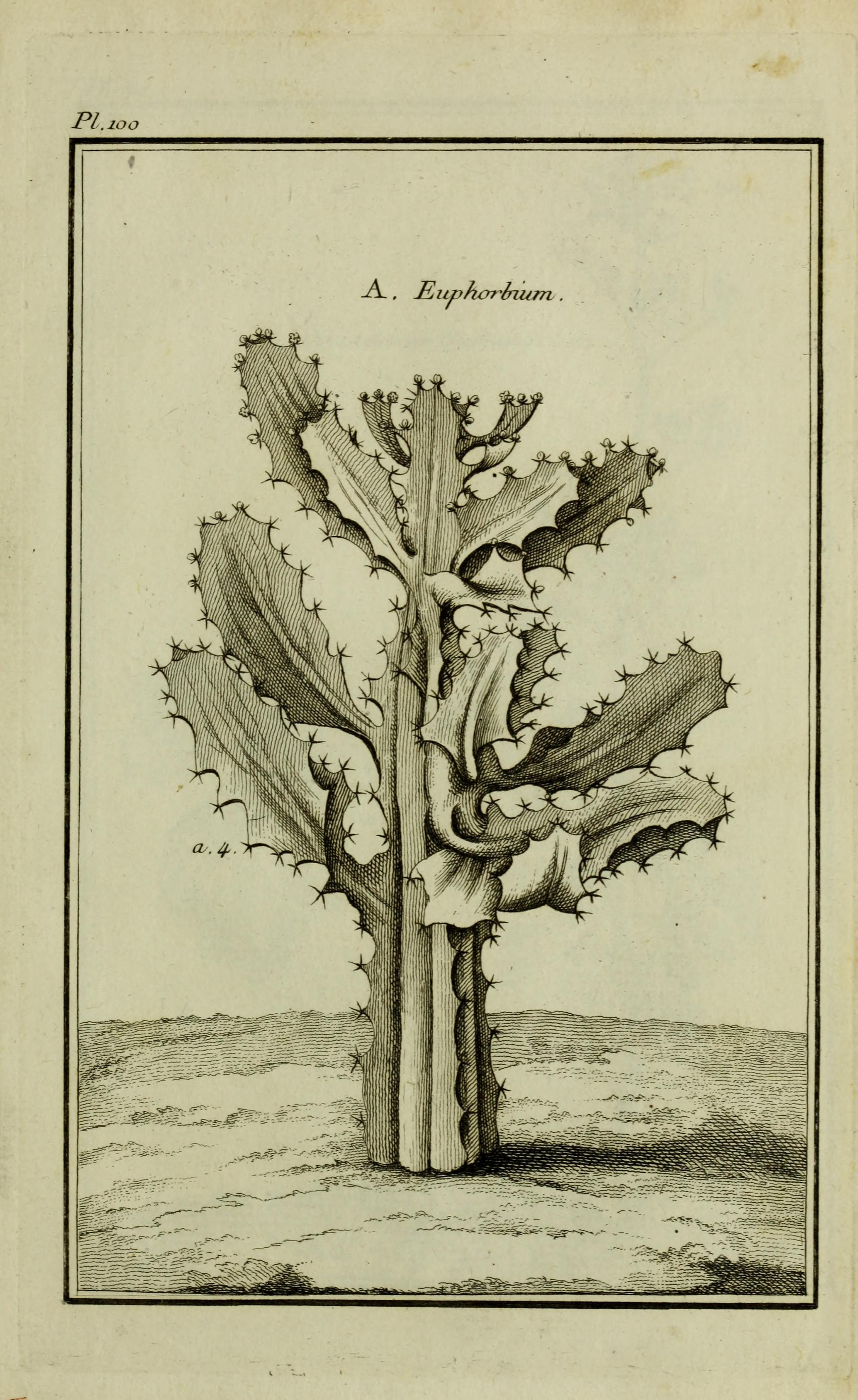 no full size  illustration available (3a)