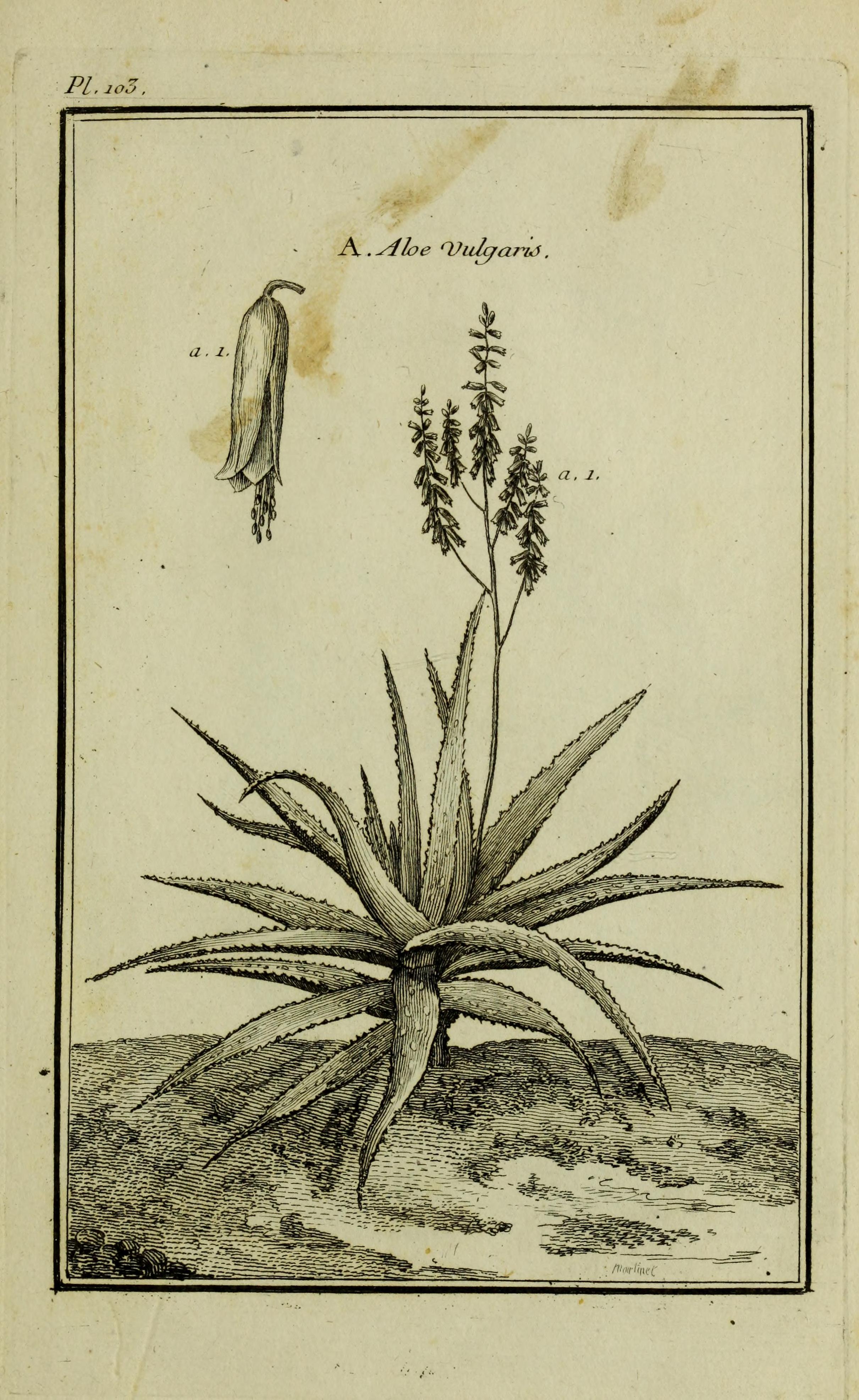 no full size  illustration available (3a)