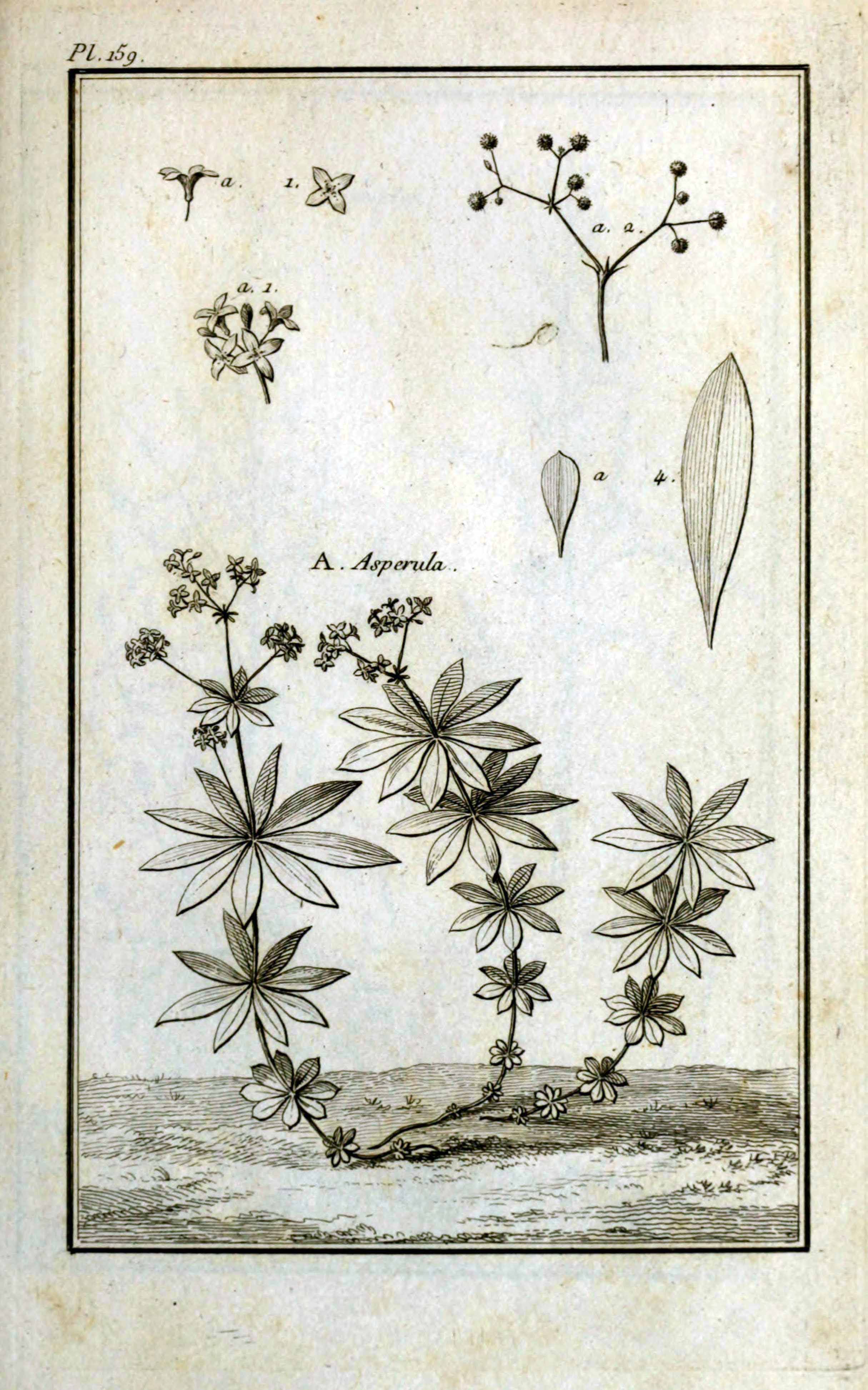 no full size  illustration available (3a)