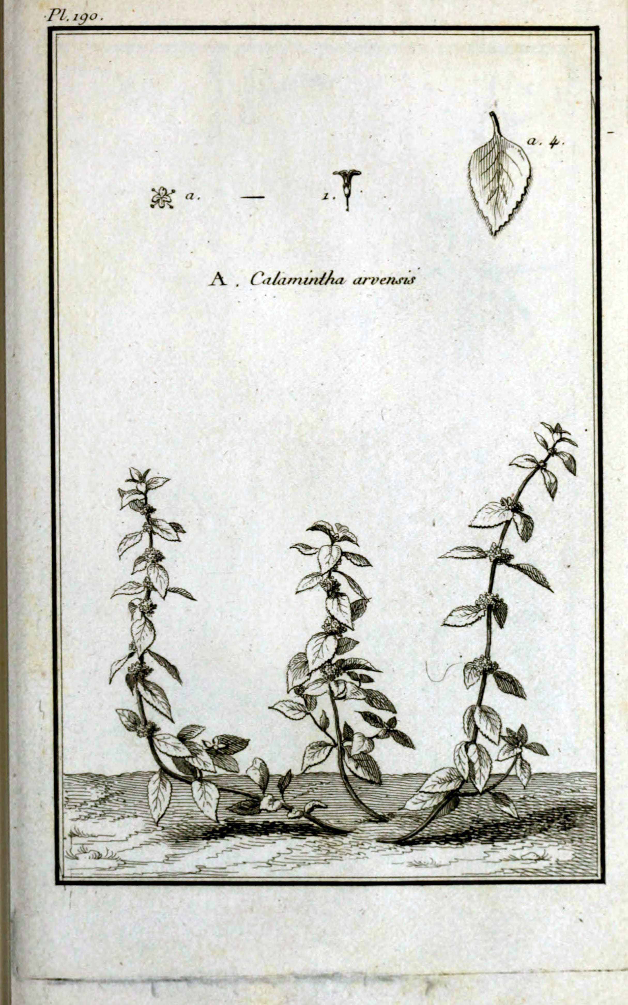 no full size  illustration available (3a)