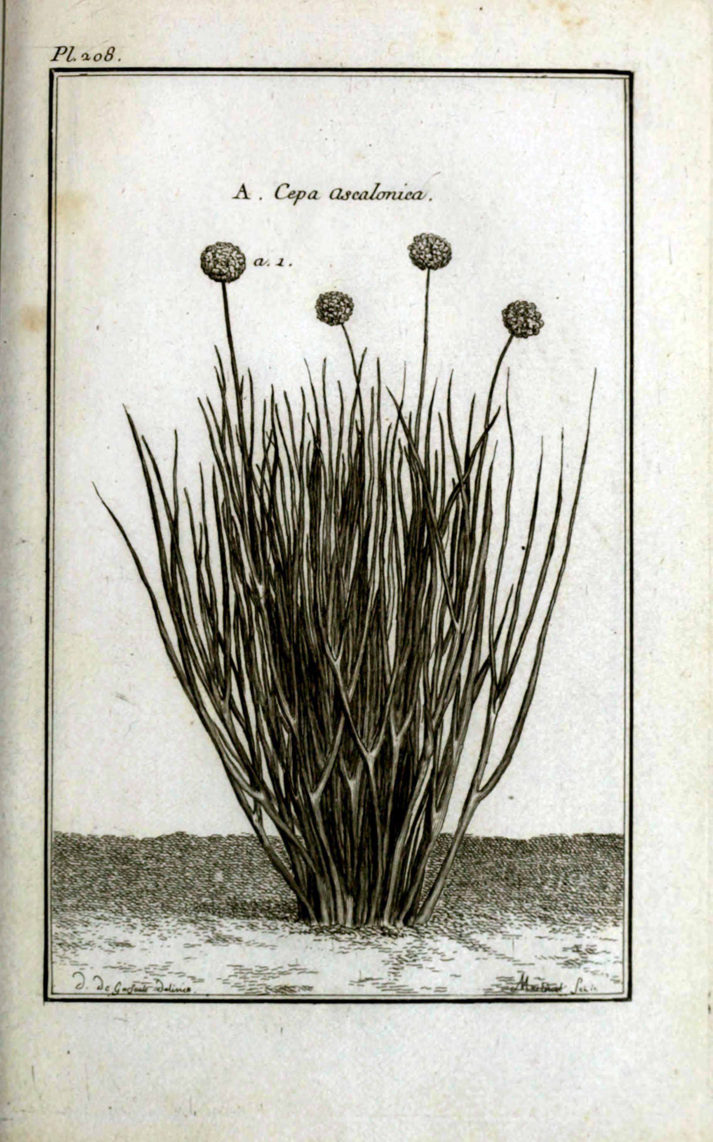 no full size  illustration available (3a)