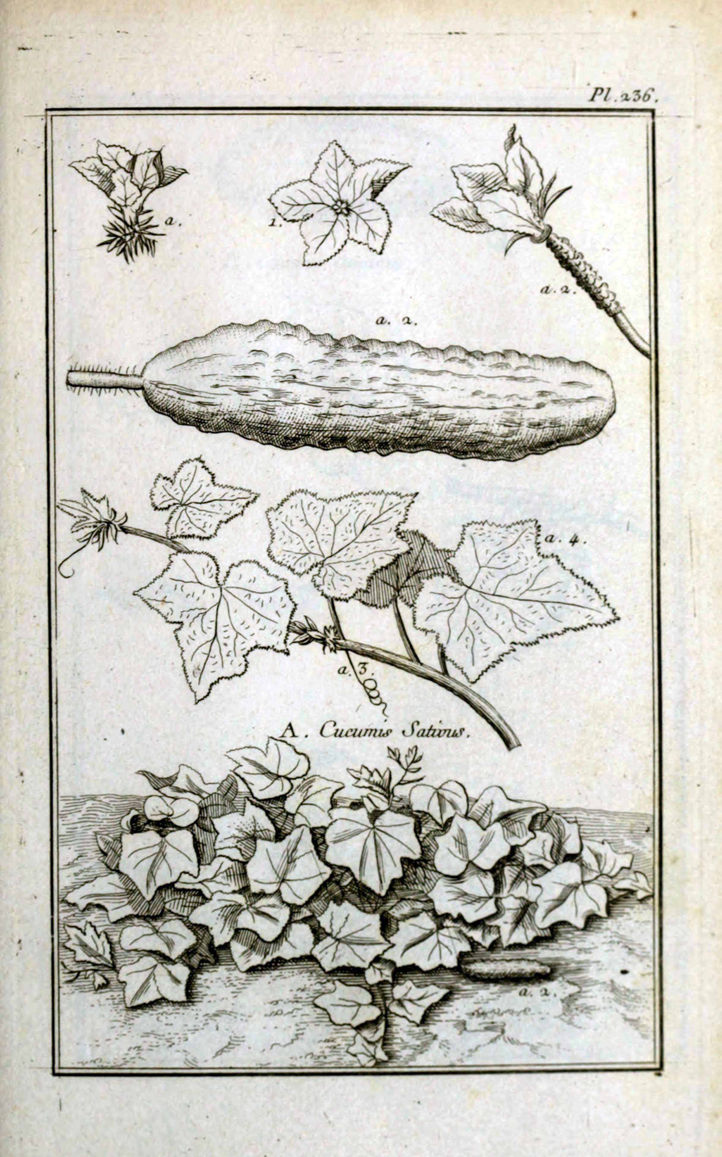 no full size  illustration available (3a)