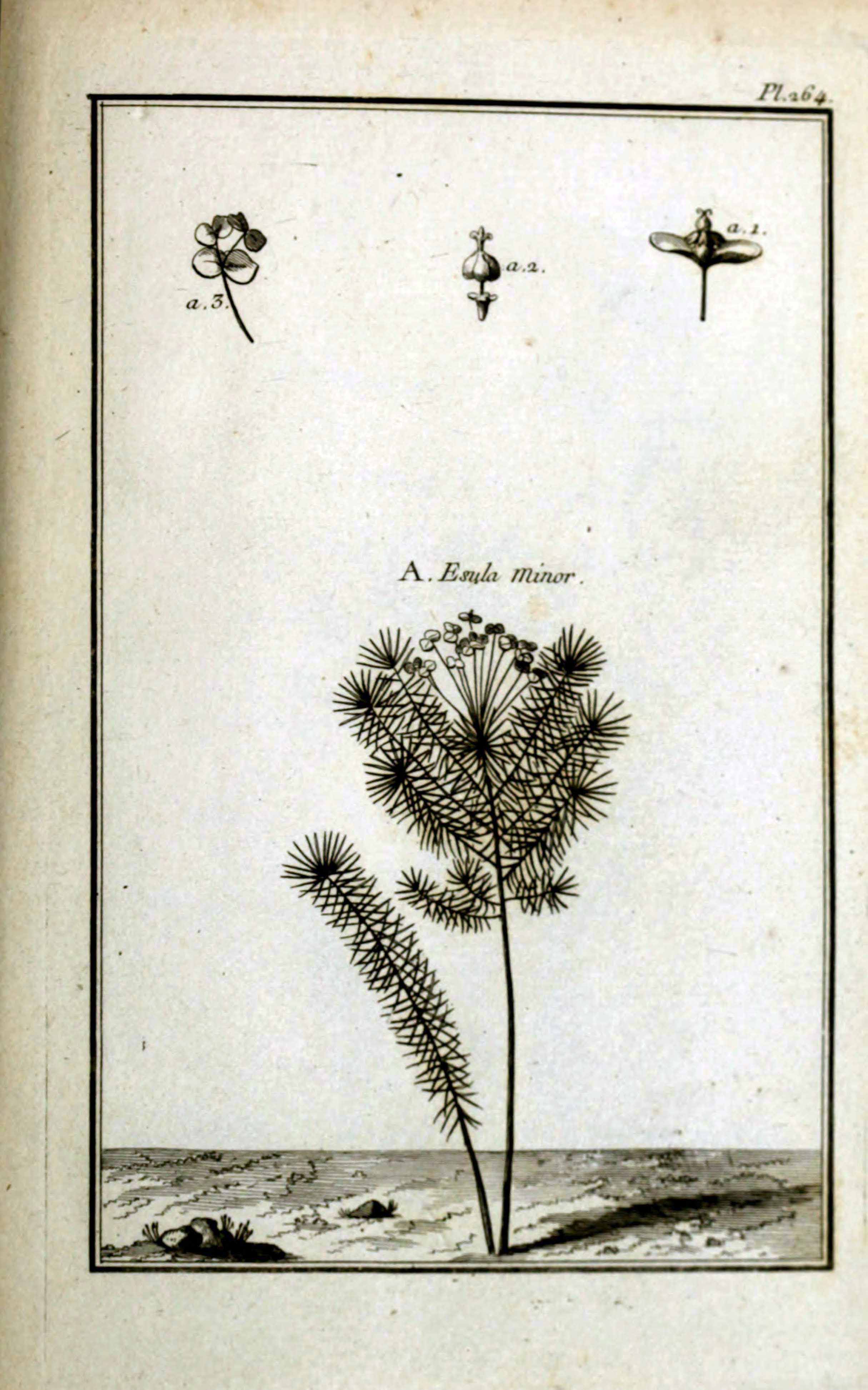 no full size  illustration available (3a)