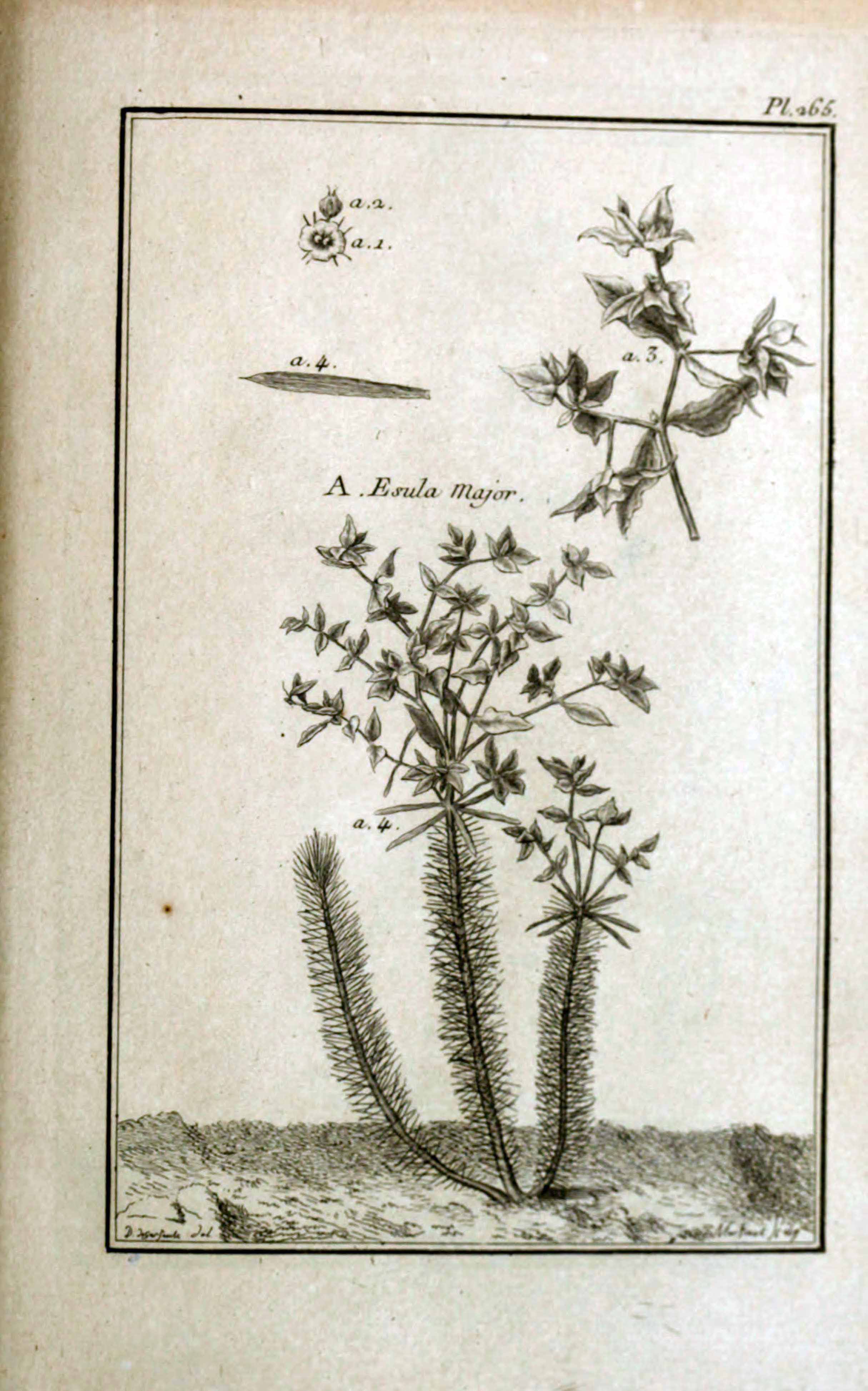 no full size  illustration available (3a)