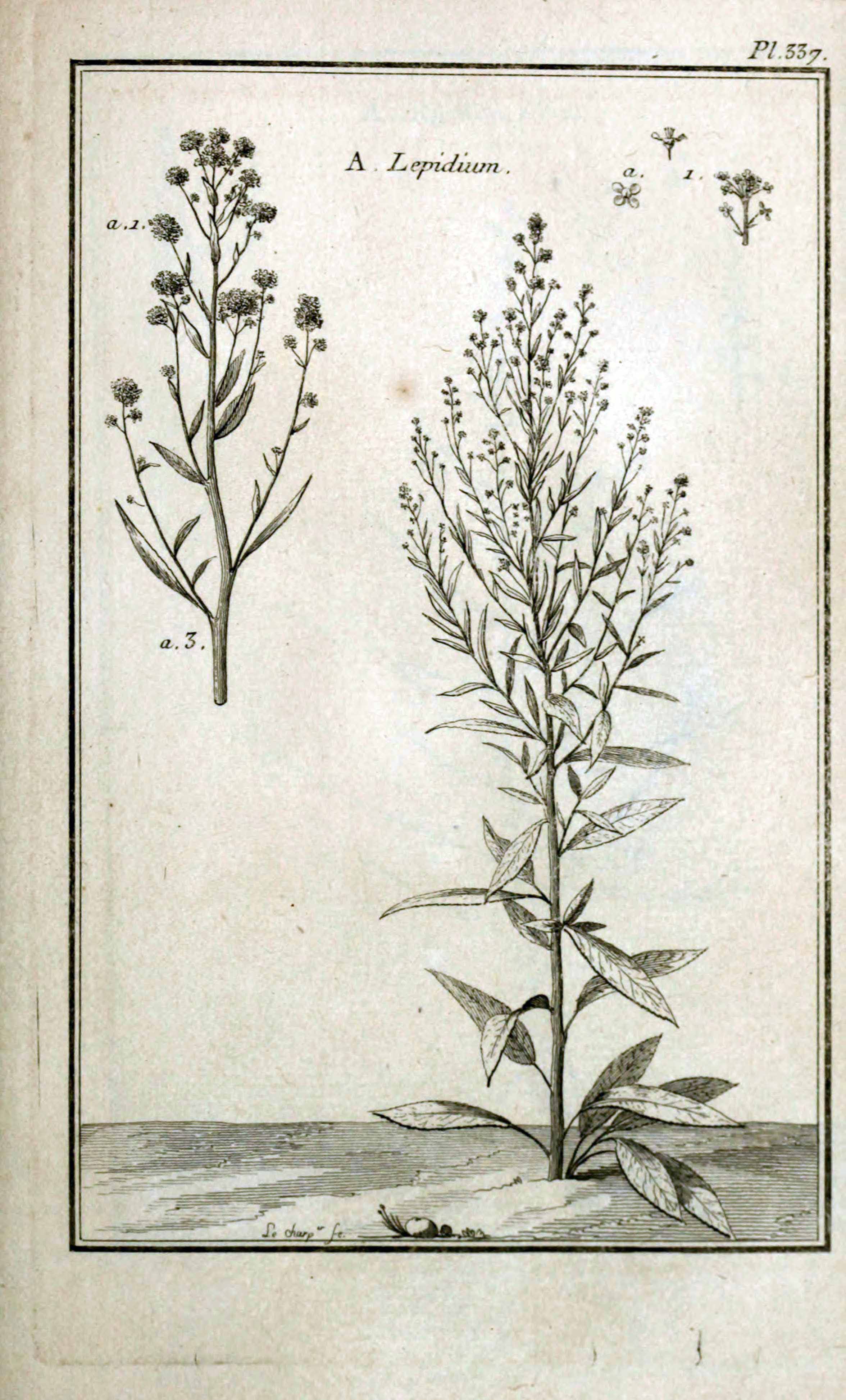 no full size  illustration available (3a)