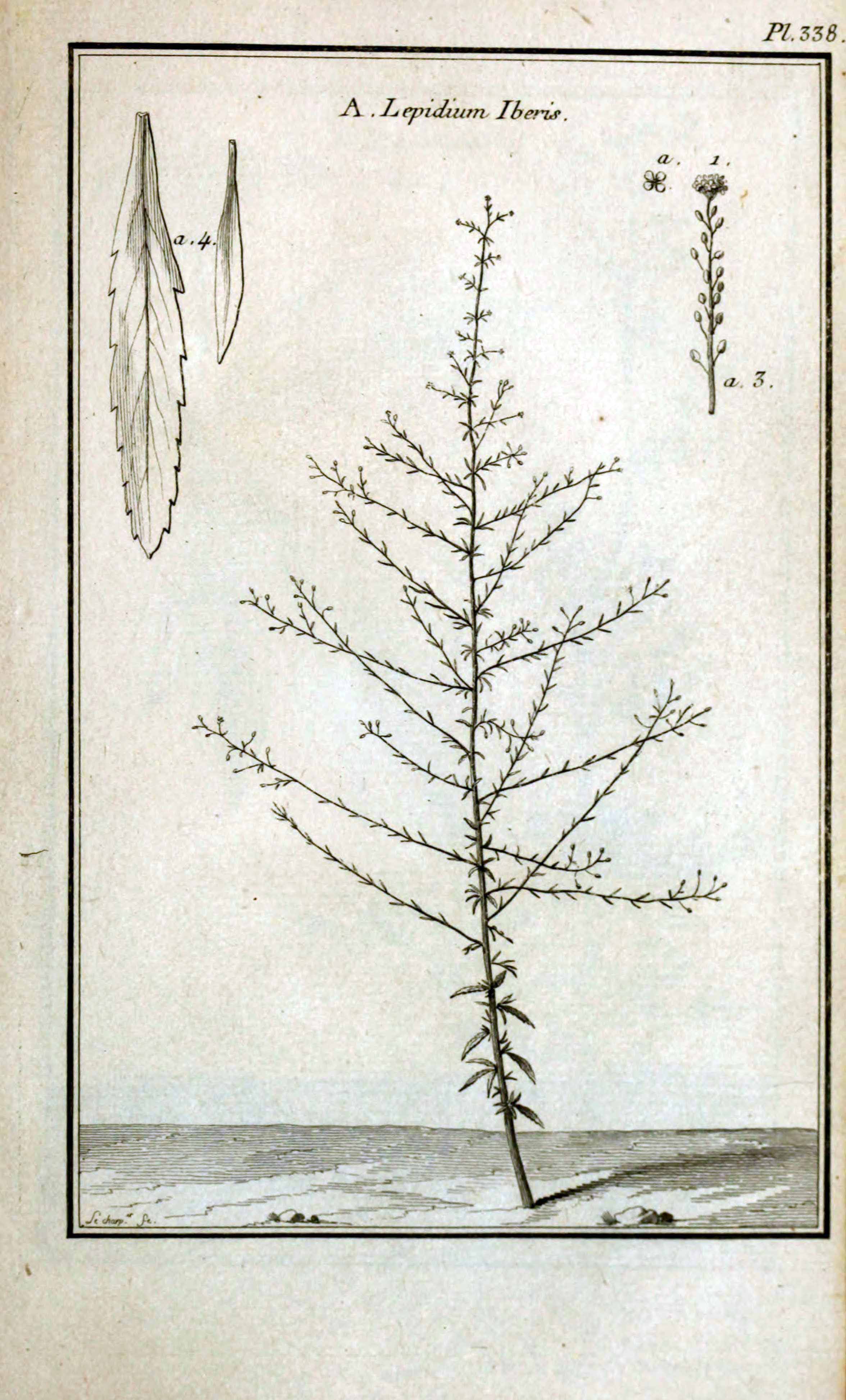 no full size  illustration available (3a)