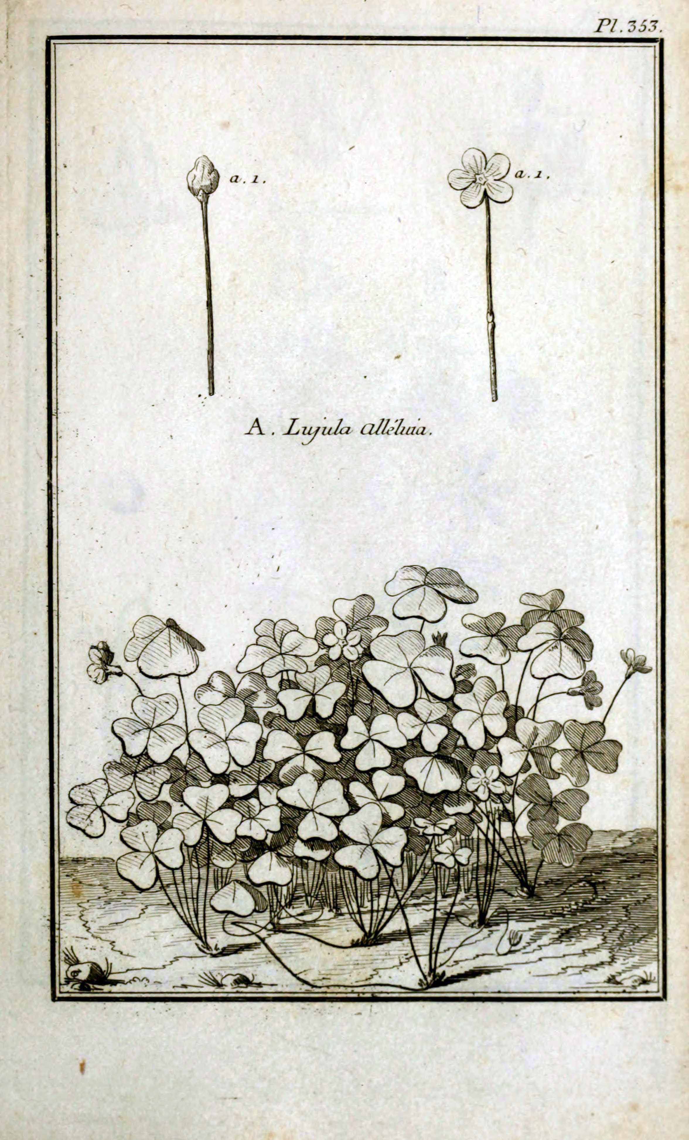 no full size  illustration available (3a)