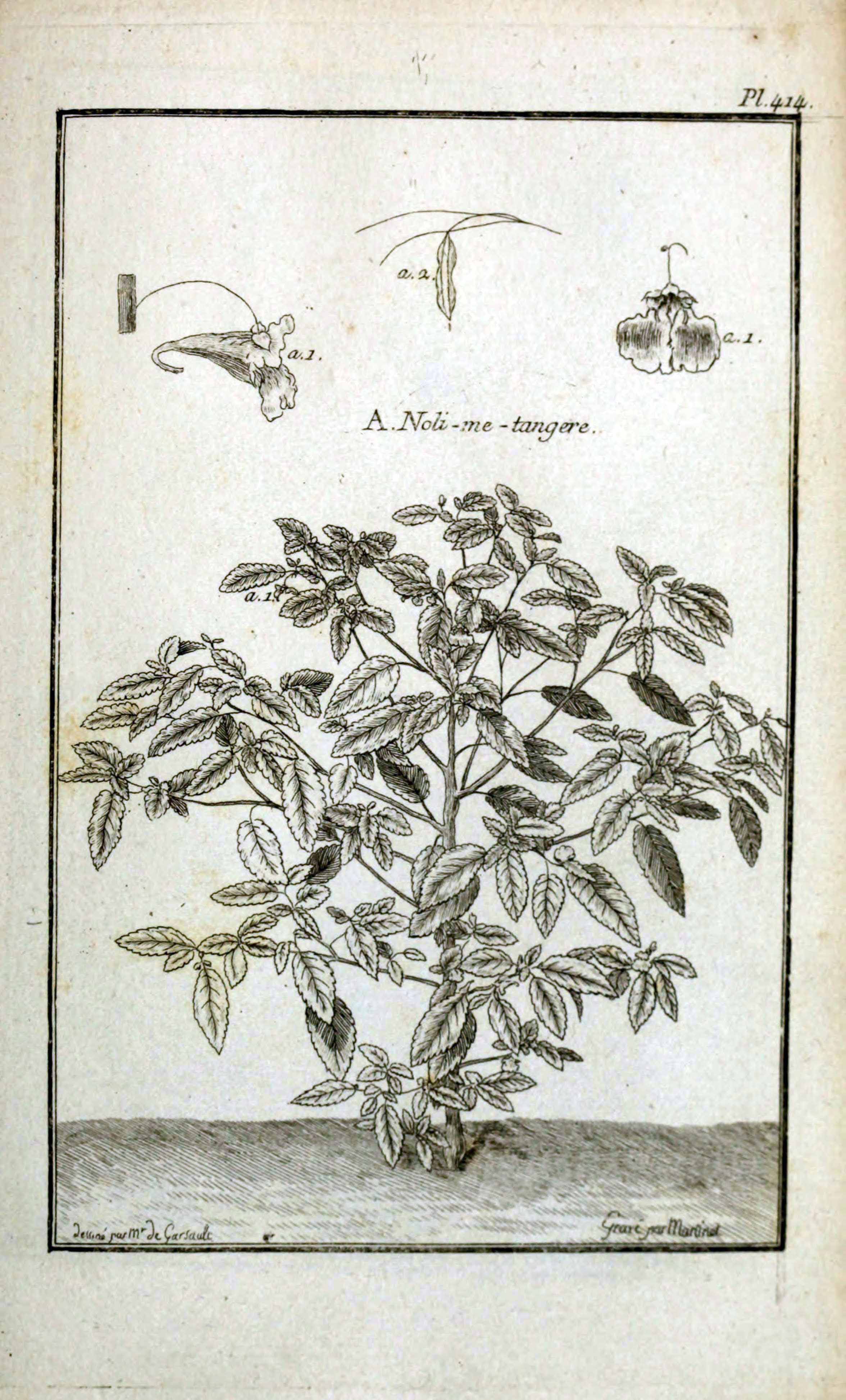 no full size  illustration available (3a)