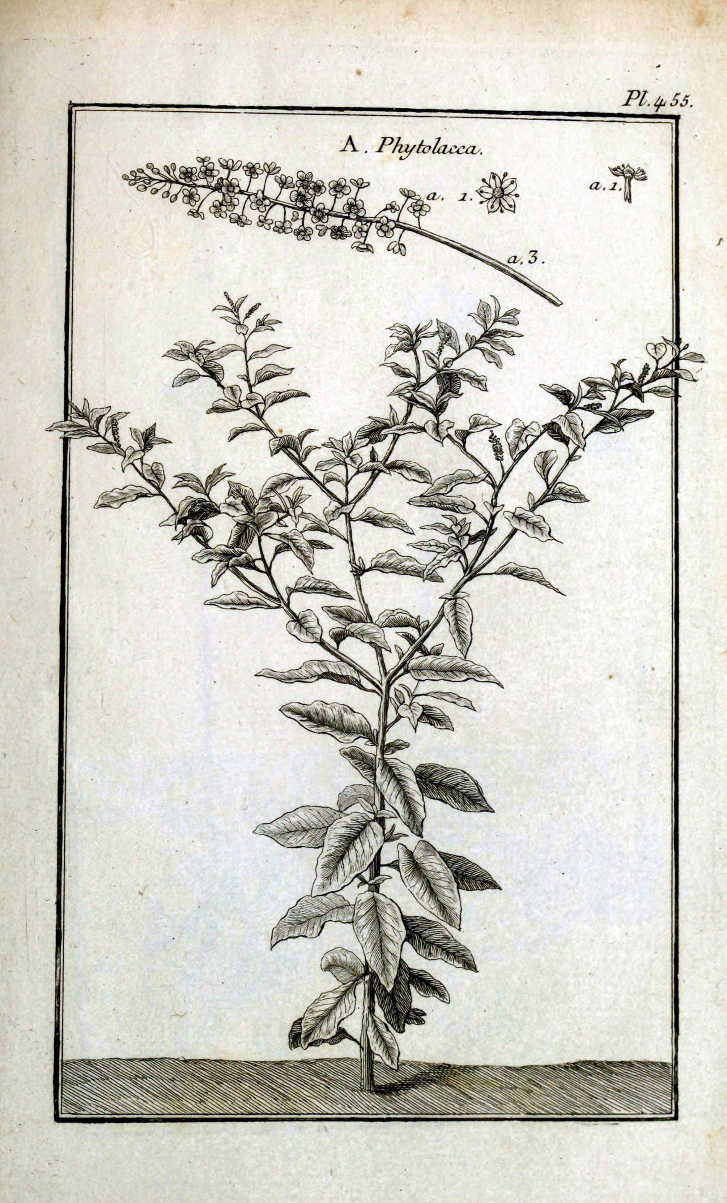 no full size  illustration available (3a)