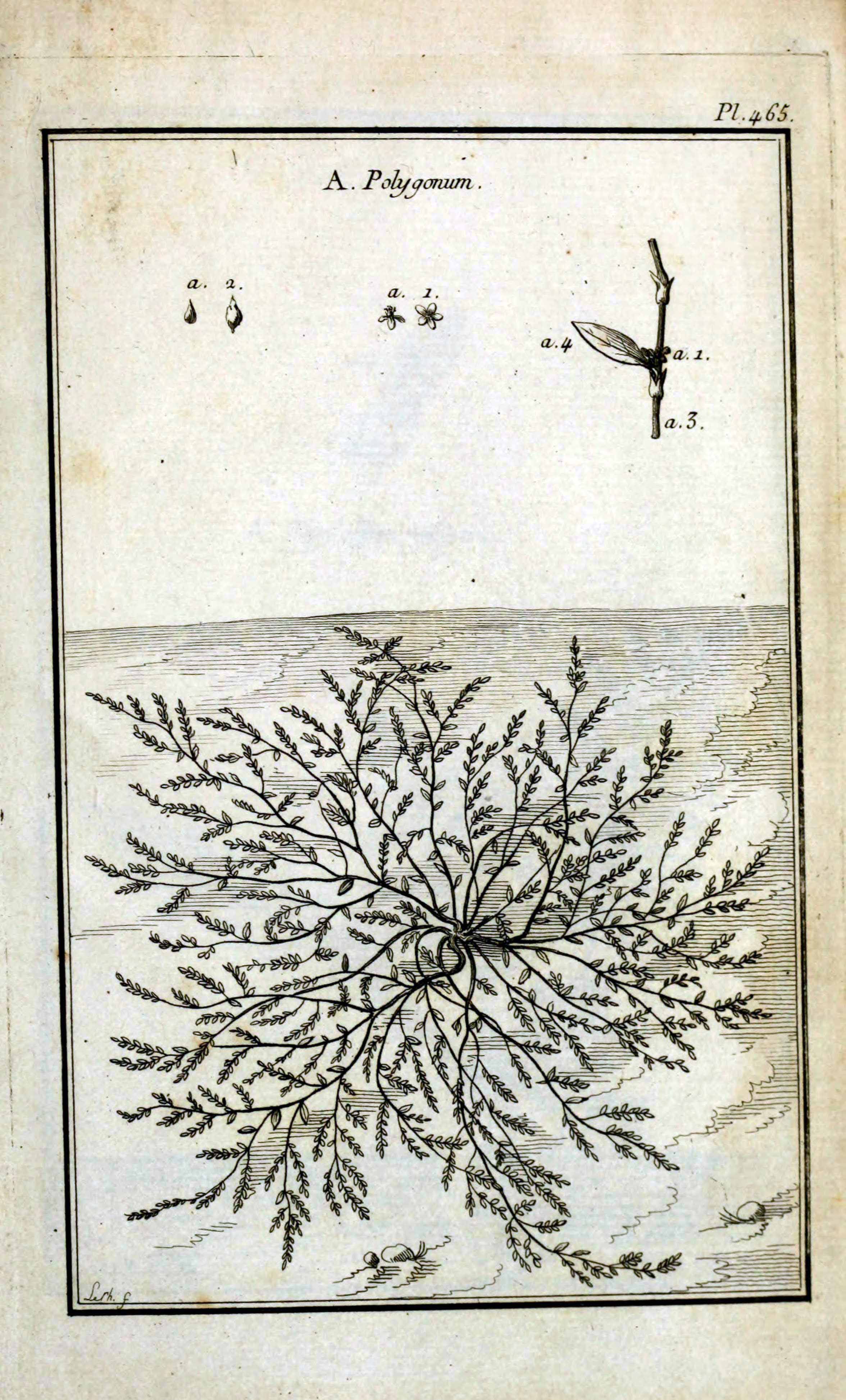 no full size  illustration available (3a)