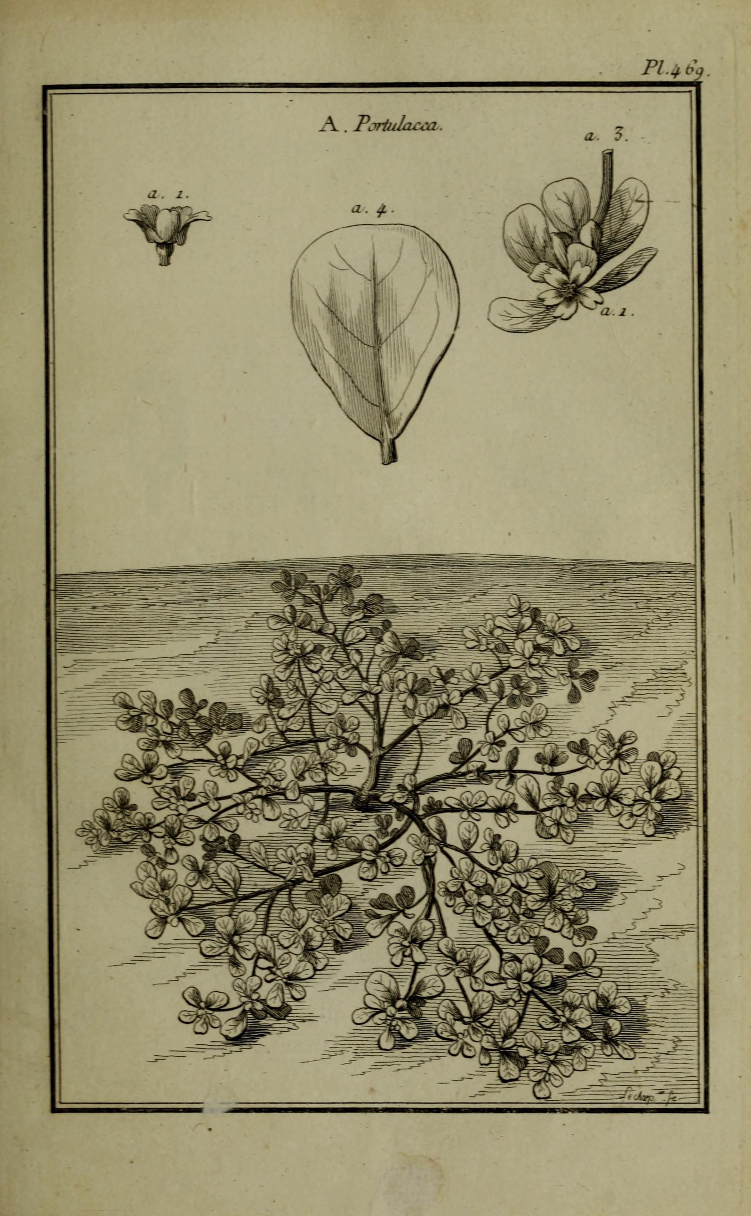 no full size  illustration available (3a)