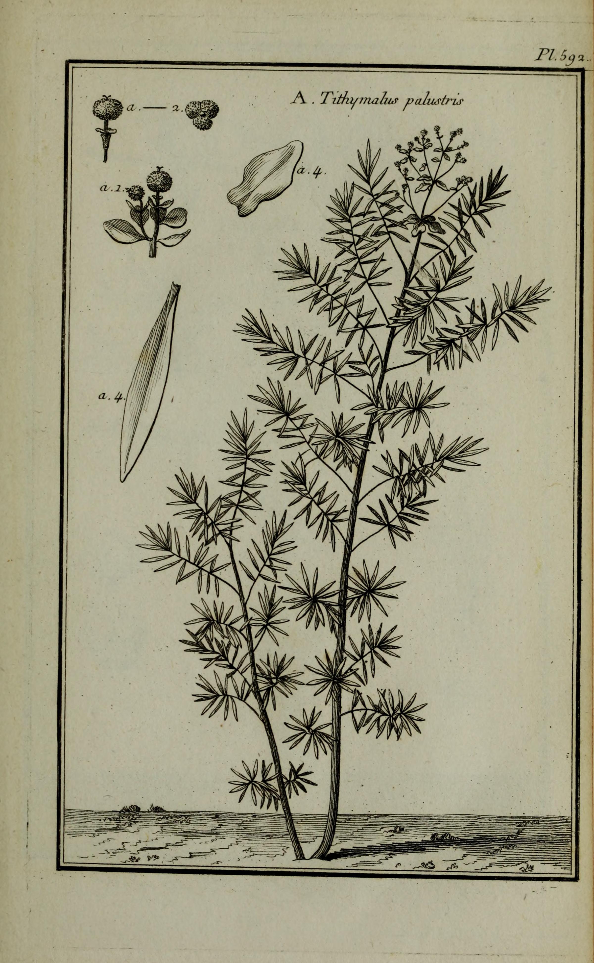 no full size  illustration available (3a)