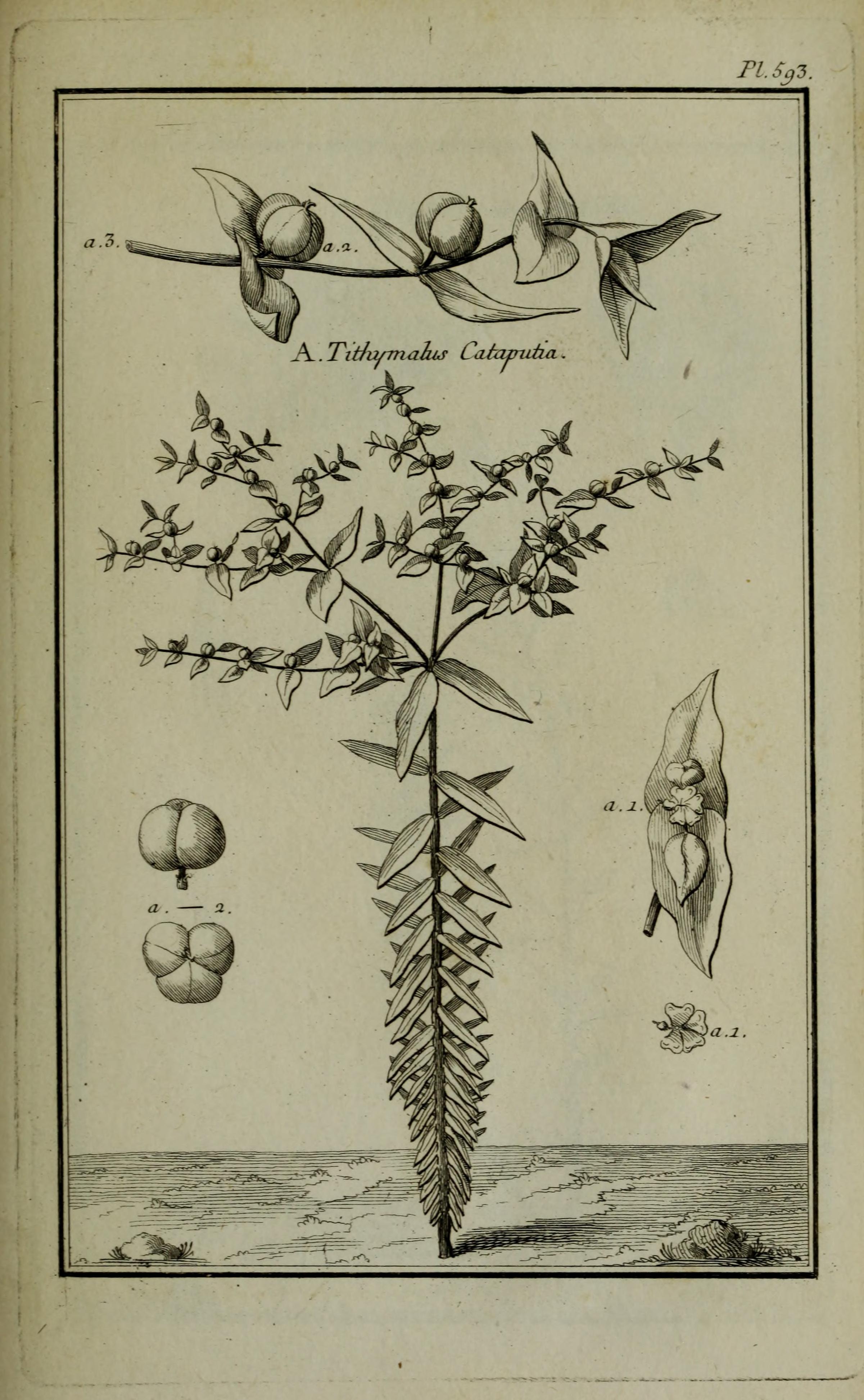 no full size  illustration available (3a)