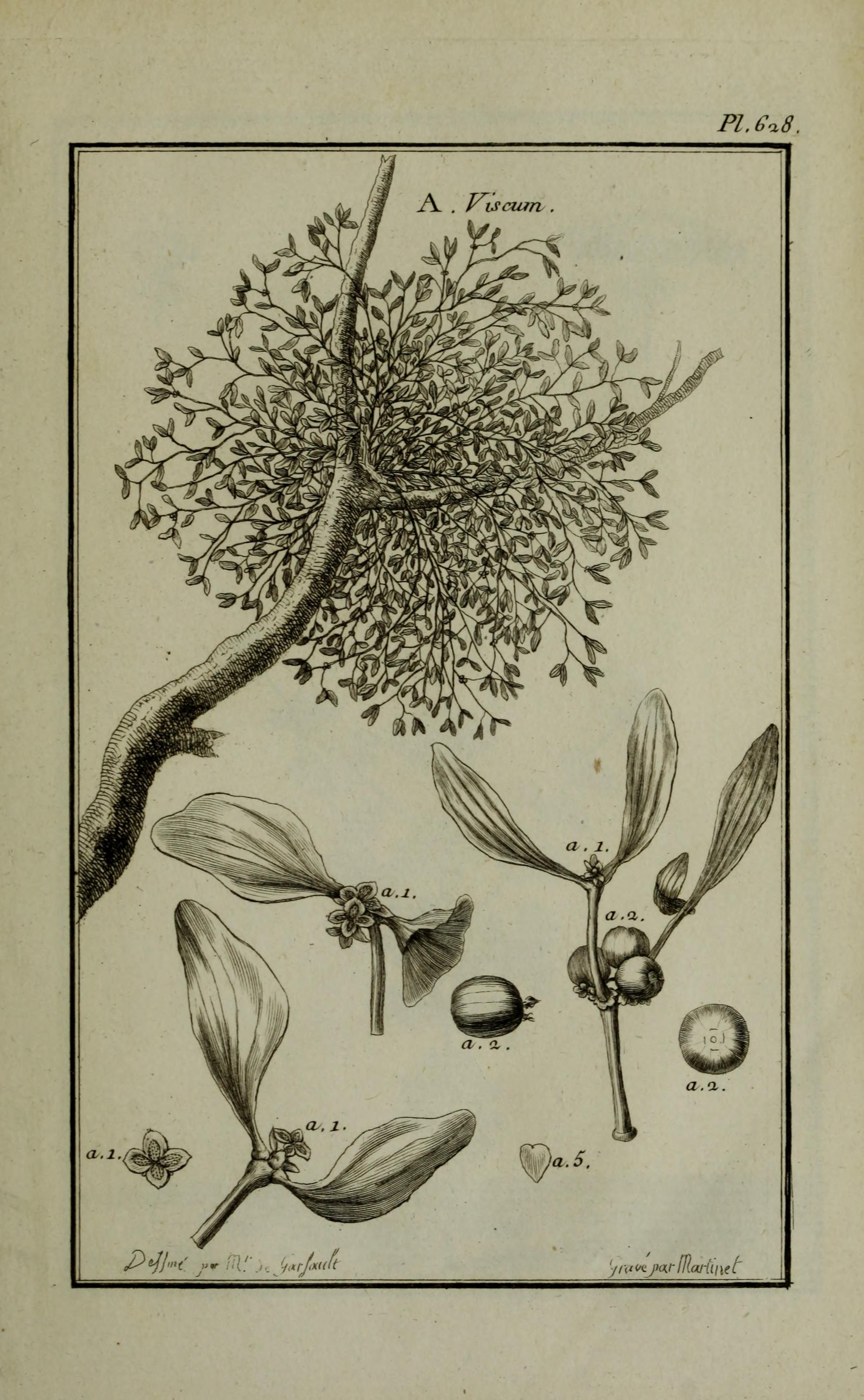 no full size  illustration available (3a)