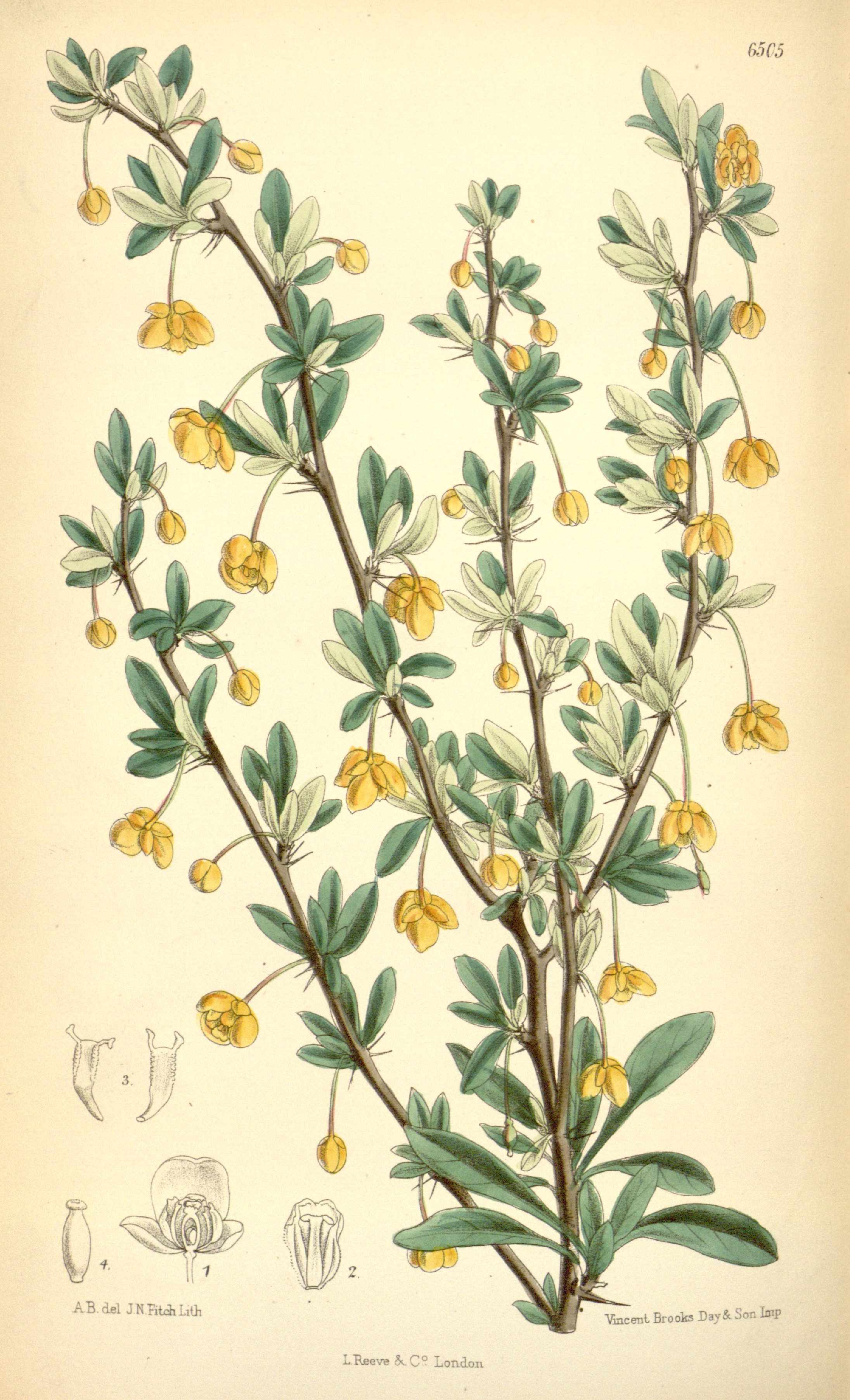 no full size  illustration available (3a)