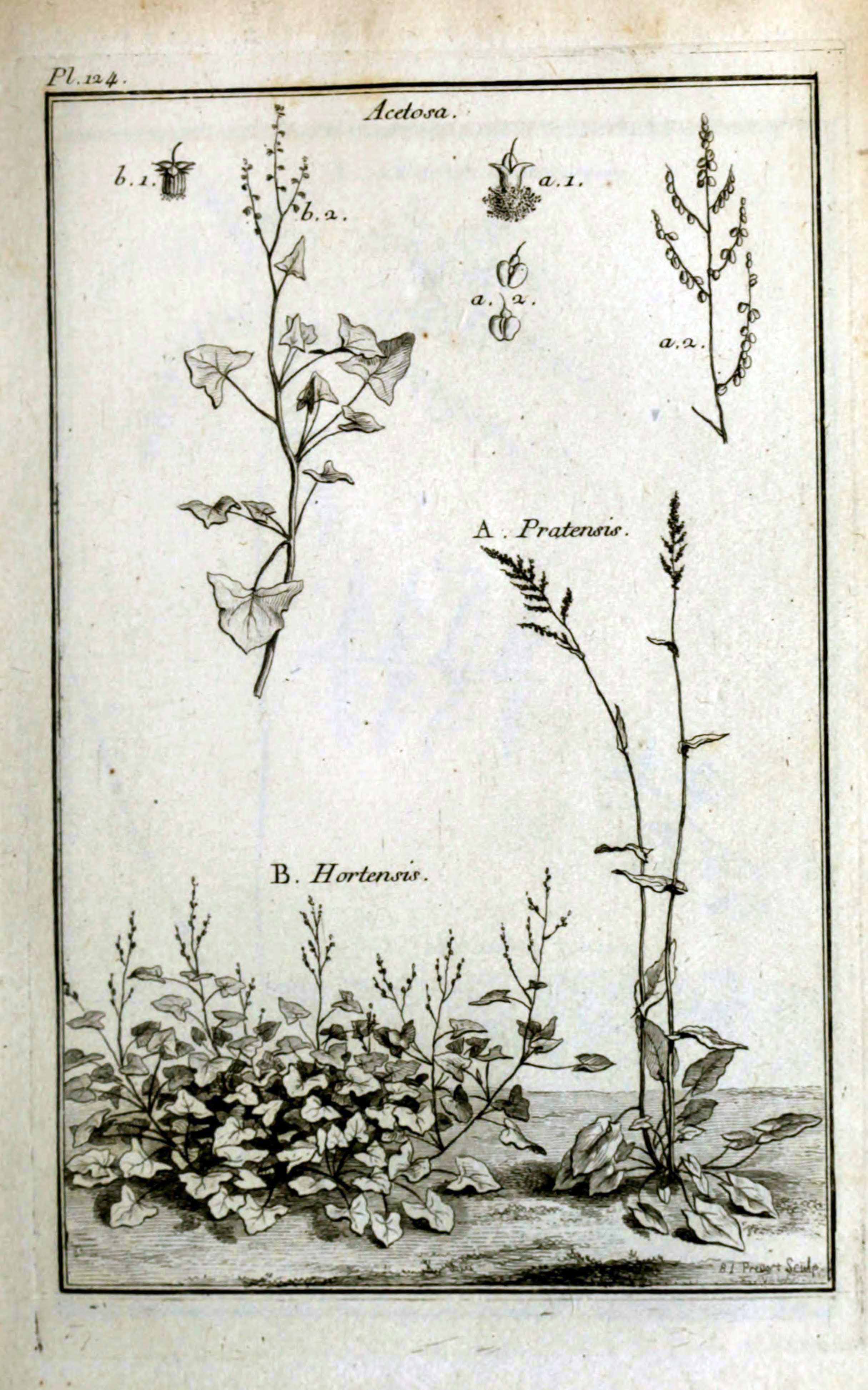 no full size  illustration available (3a)