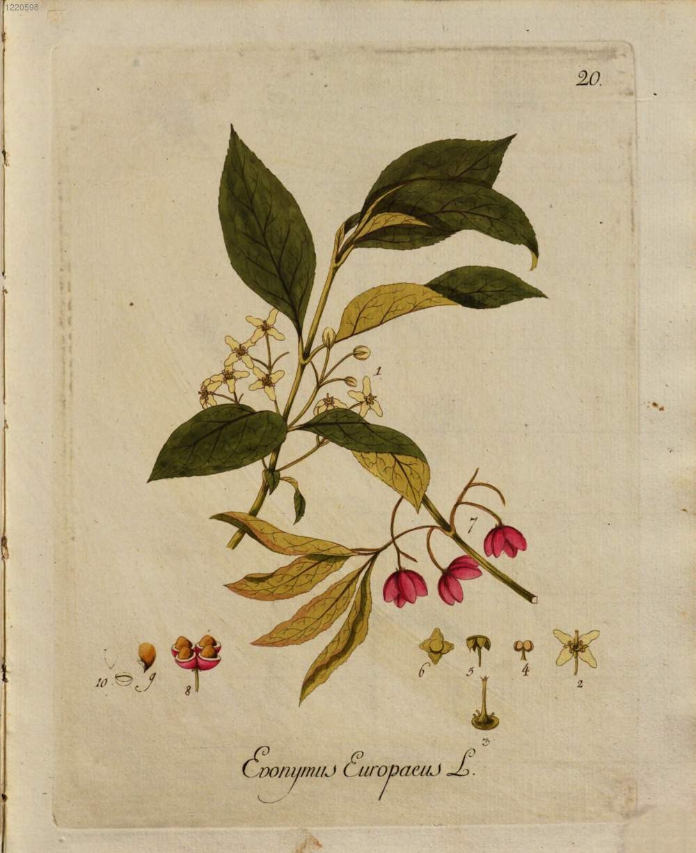 no full size  illustration available (3a)