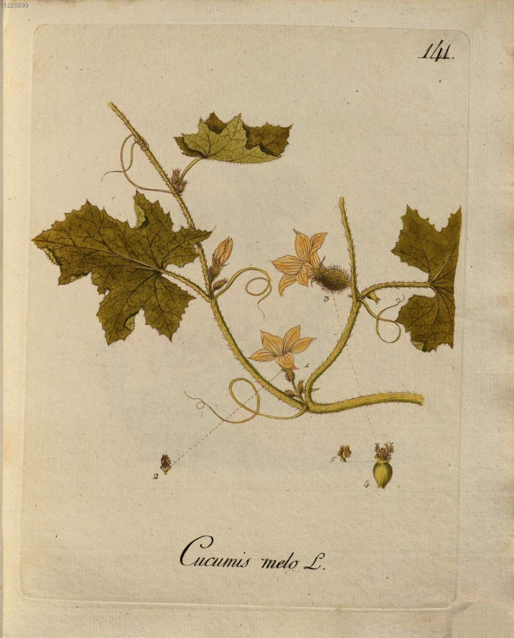 no full size  illustration available (3a)