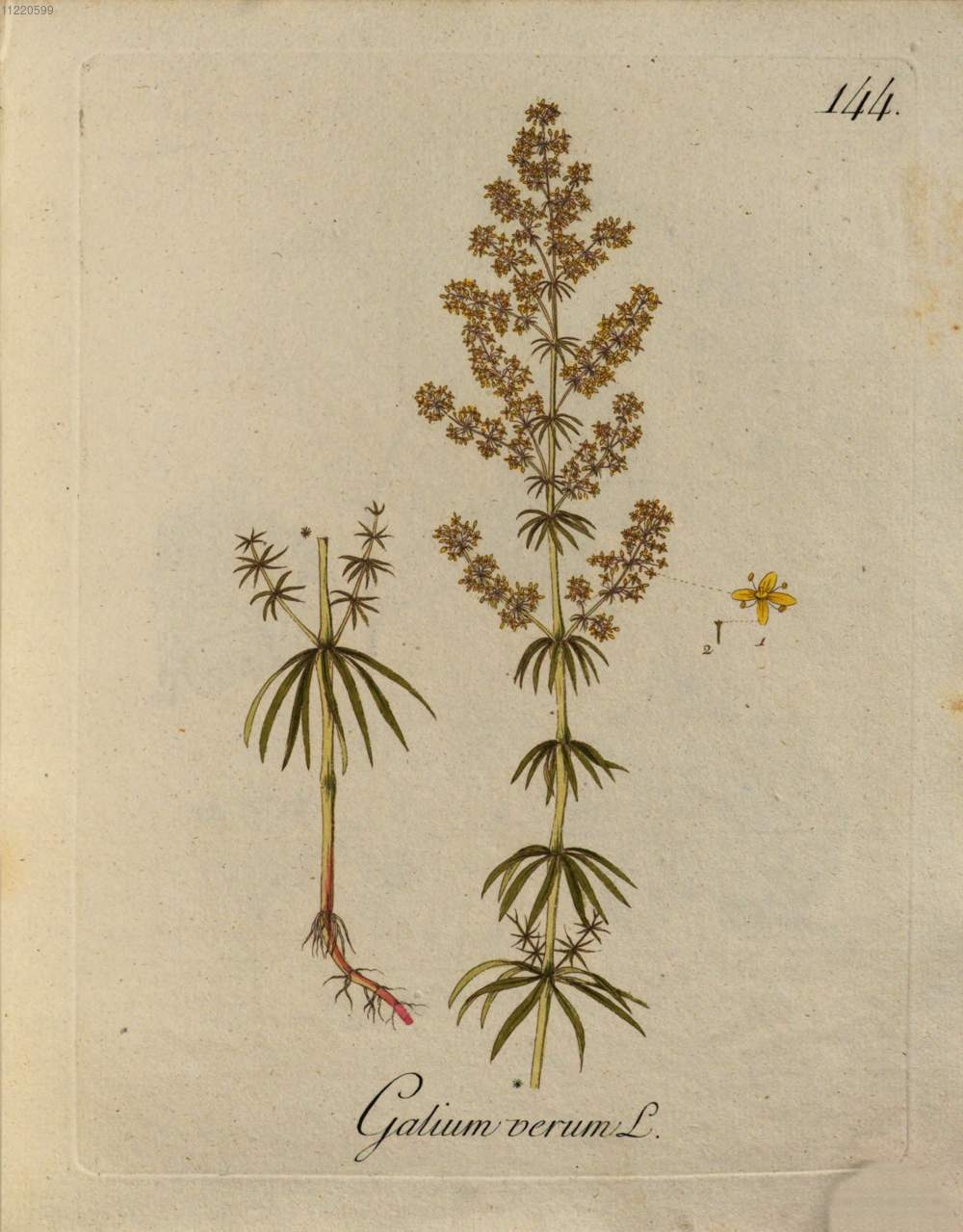 no full size  illustration available (3a)