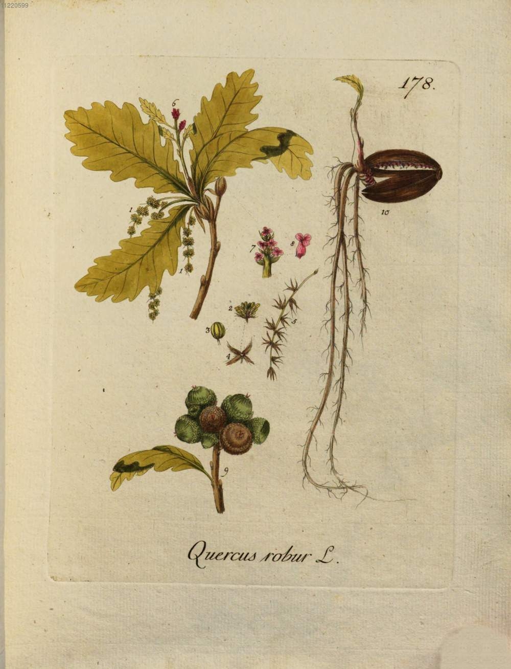 no full size  illustration available (3a)