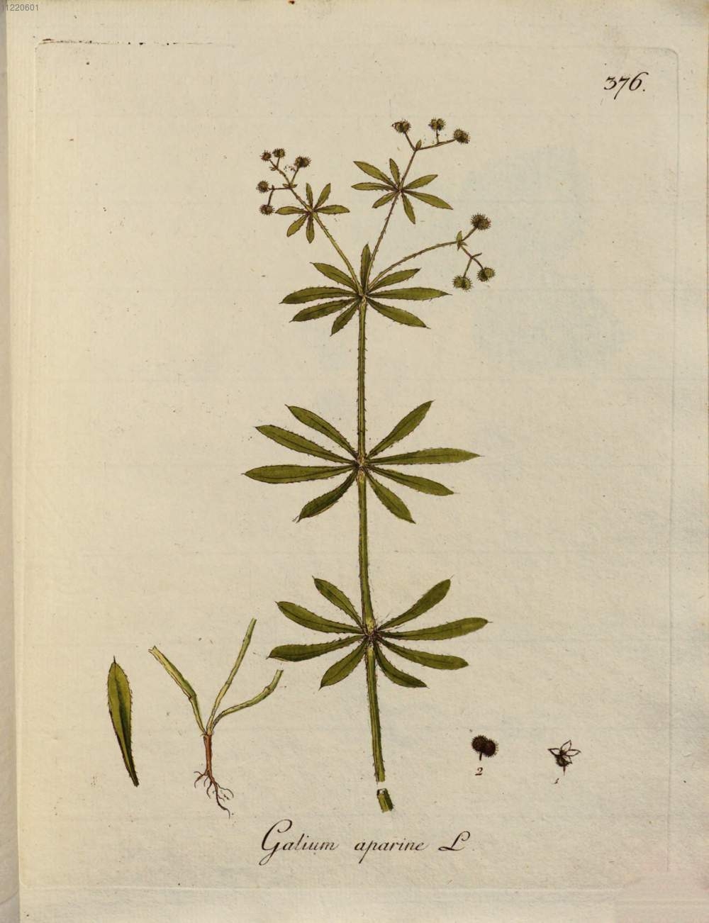 no full size  illustration available (3a)