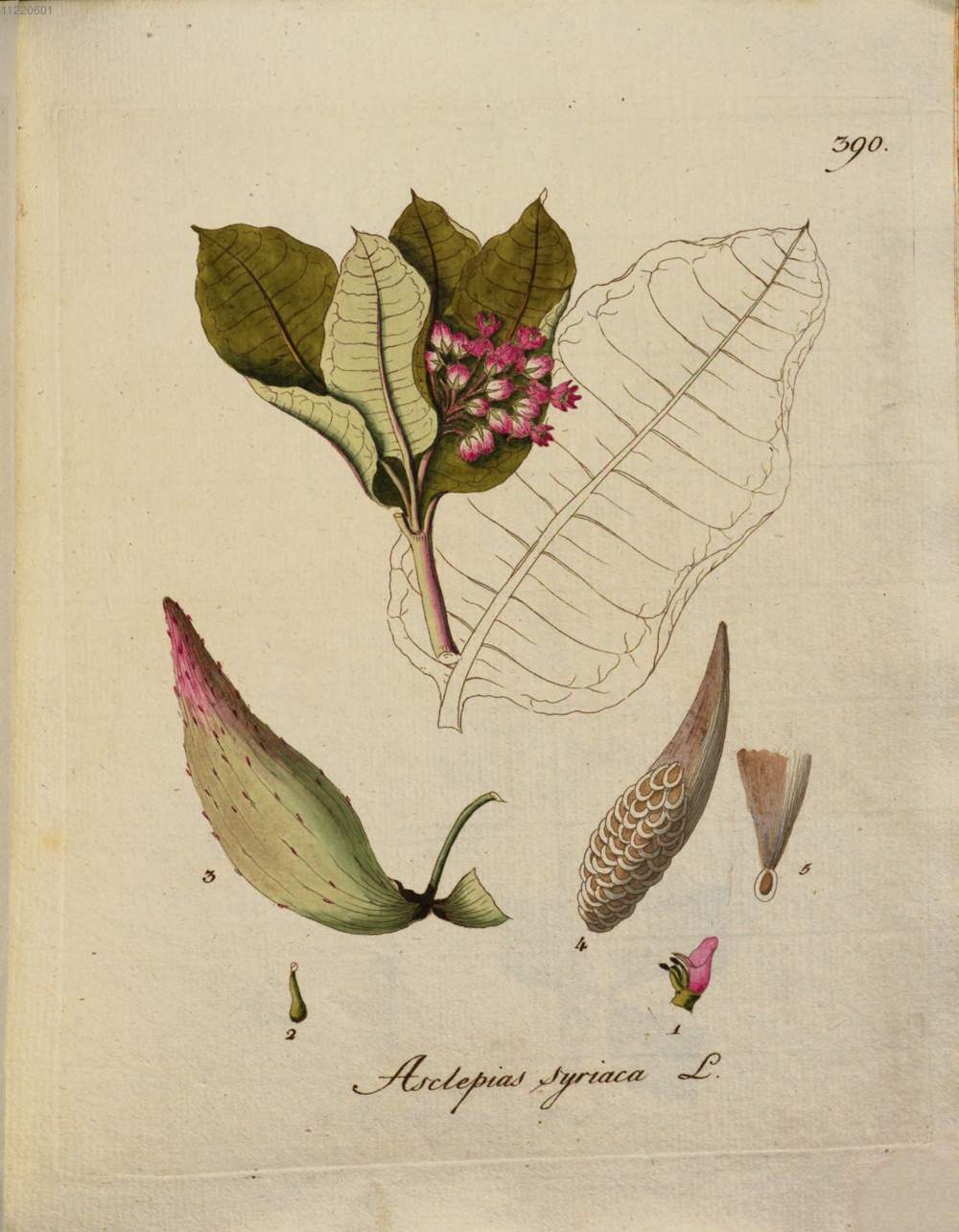 no full size  illustration available (3a)