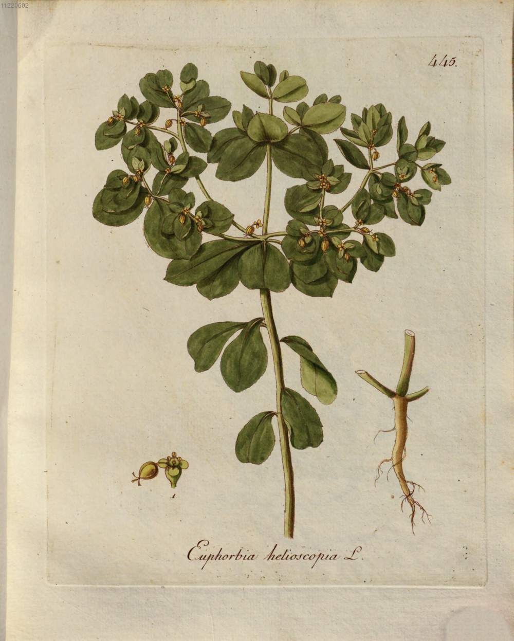 no full size  illustration available (3a)