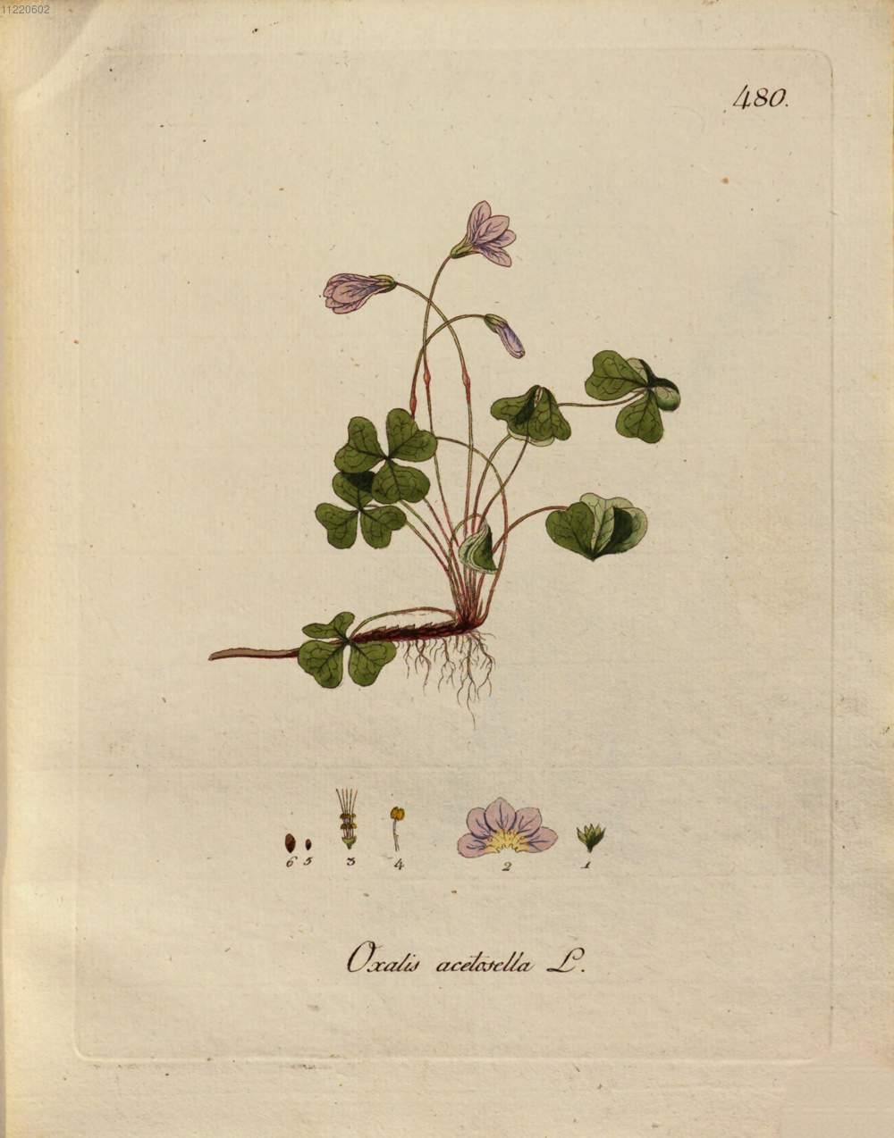 no full size  illustration available (3a)