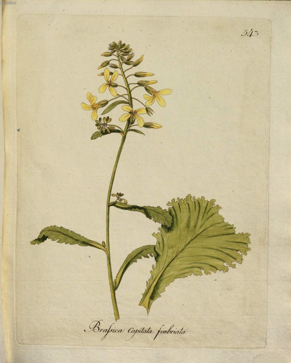 no full size  illustration available (3a)