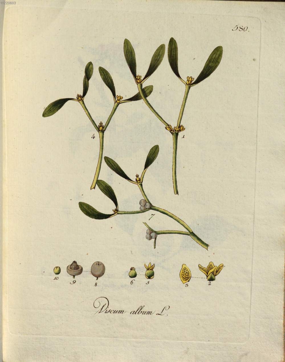 no full size  illustration available (3a)