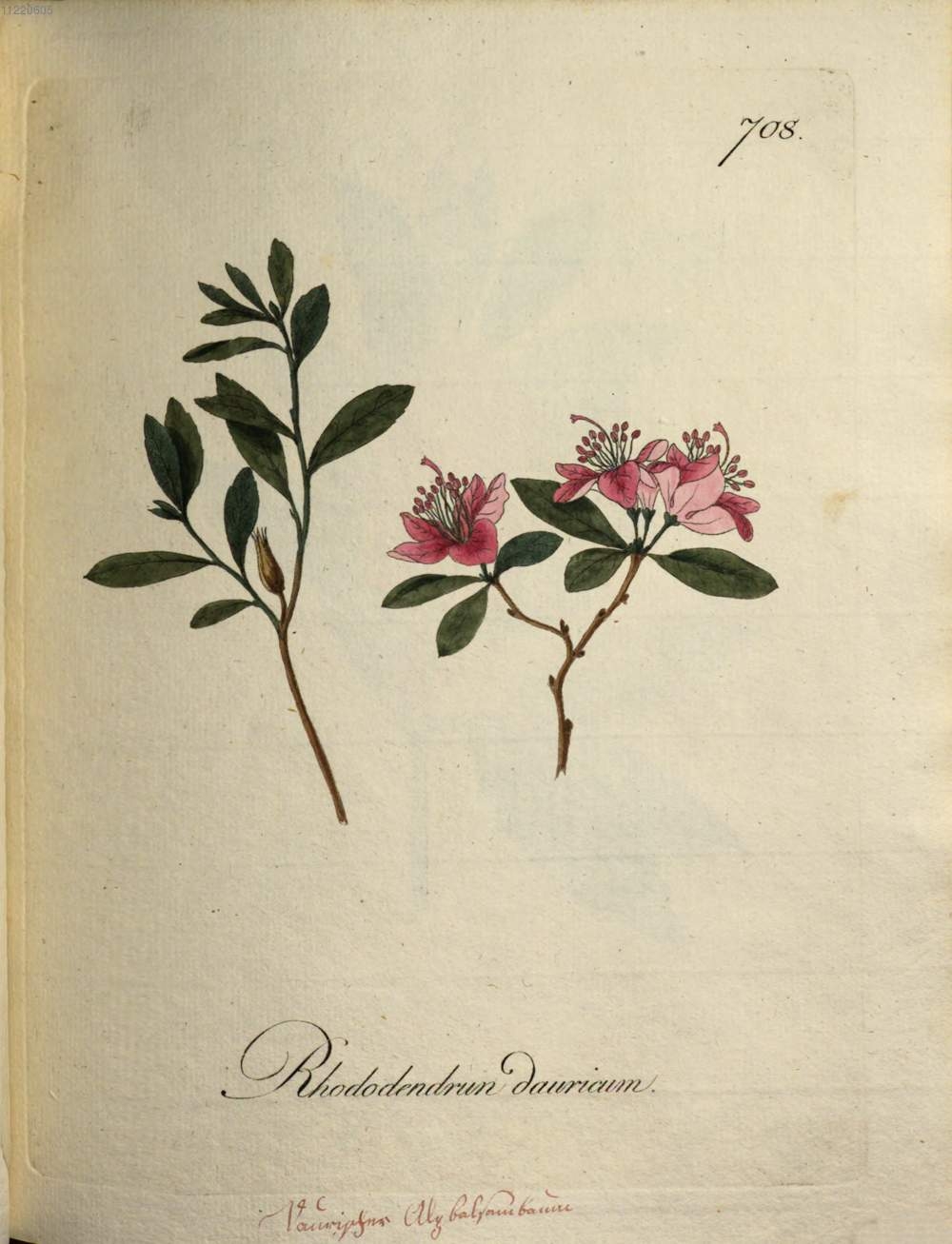 no full size  illustration available (3a)