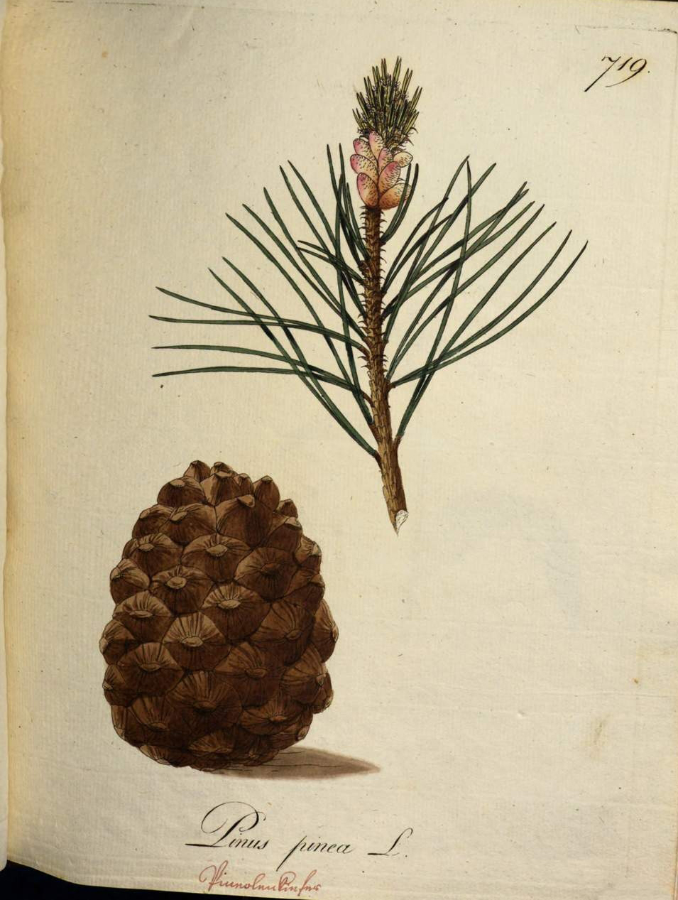 no full size  illustration available (3a)