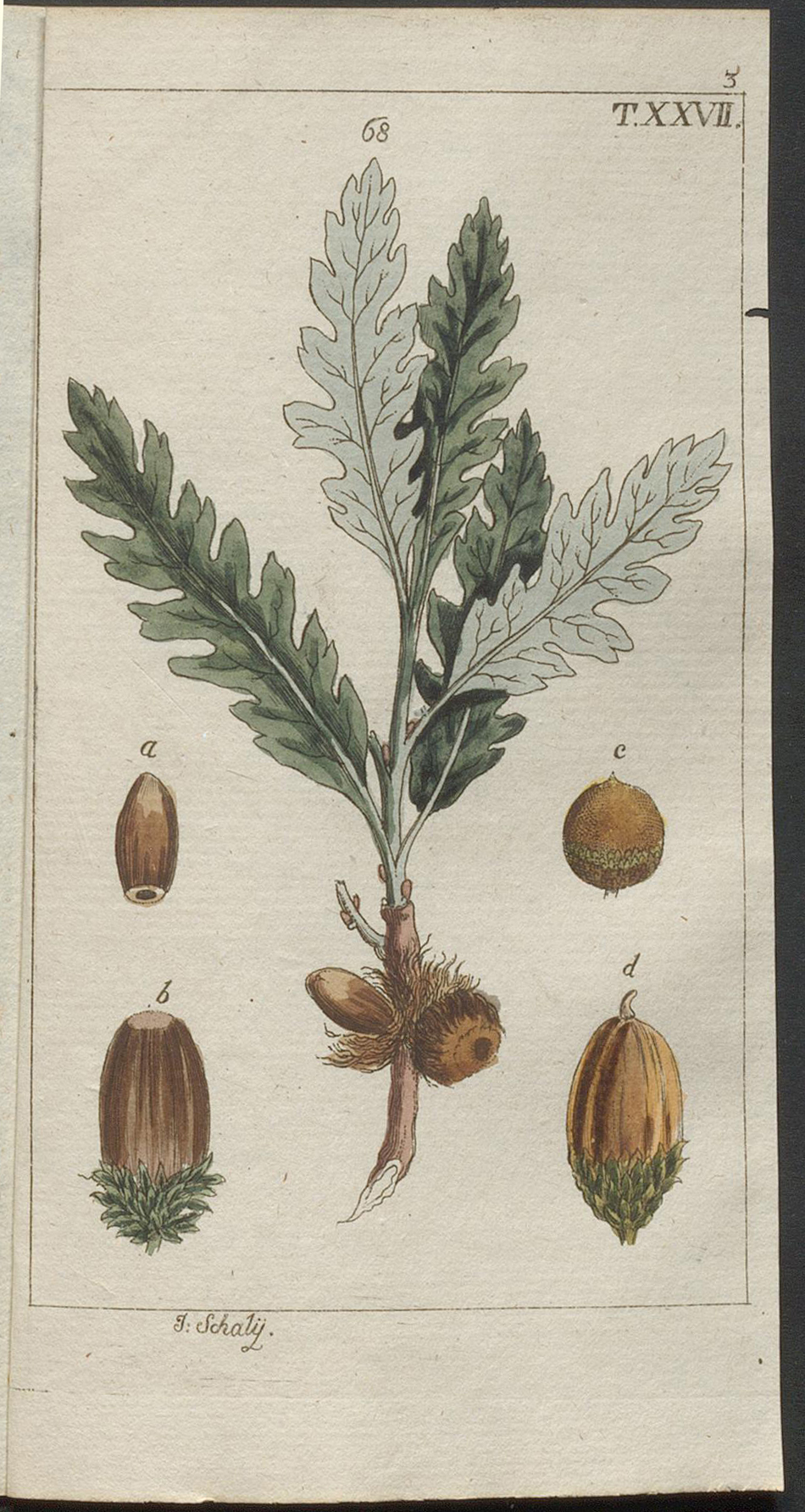 no full size  illustration available (3a)