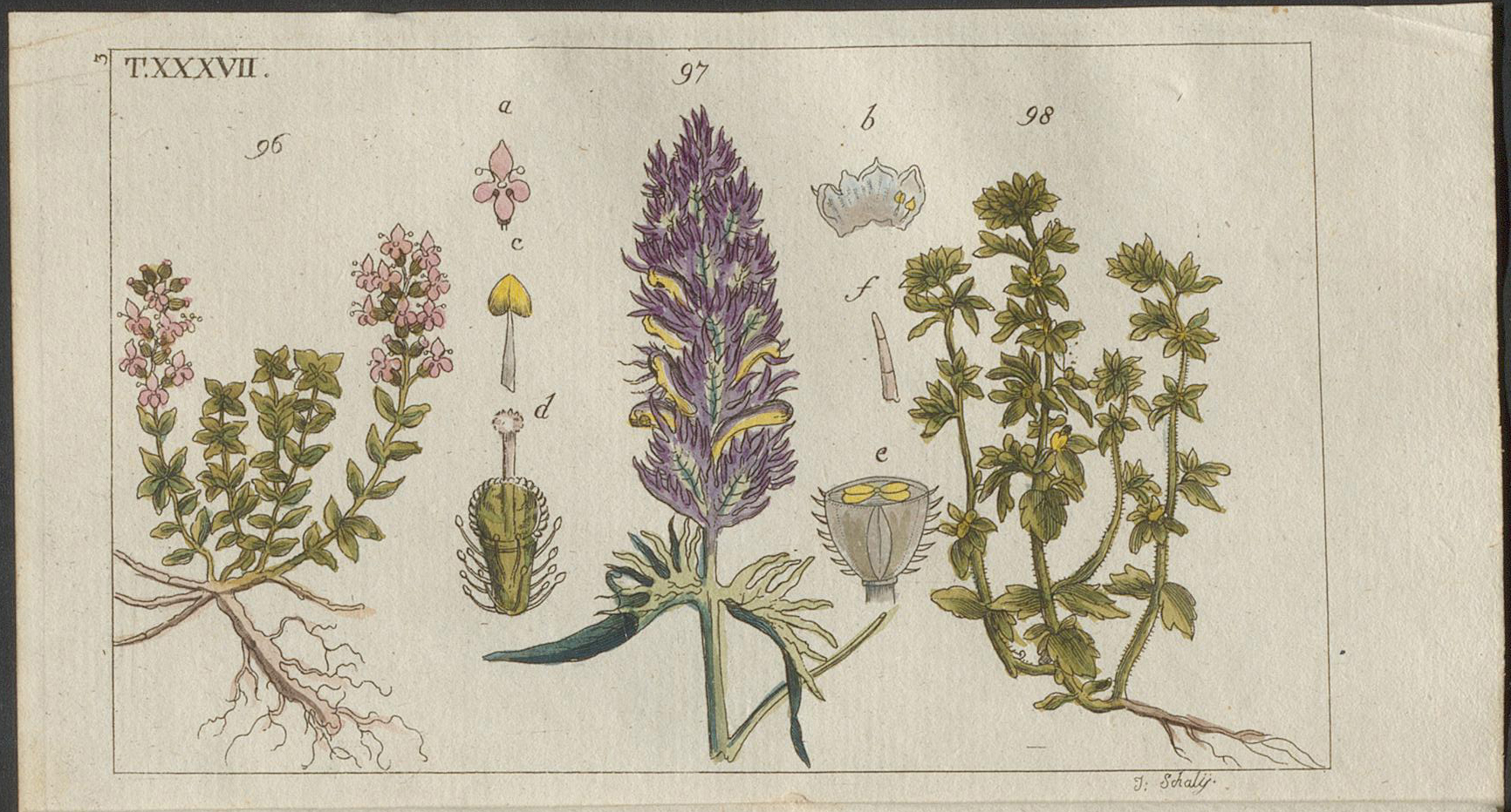 no full size  illustration available (3a)