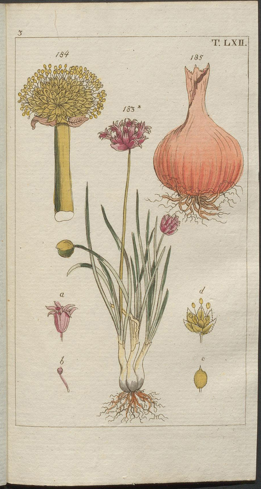 no full size  illustration available (3a)