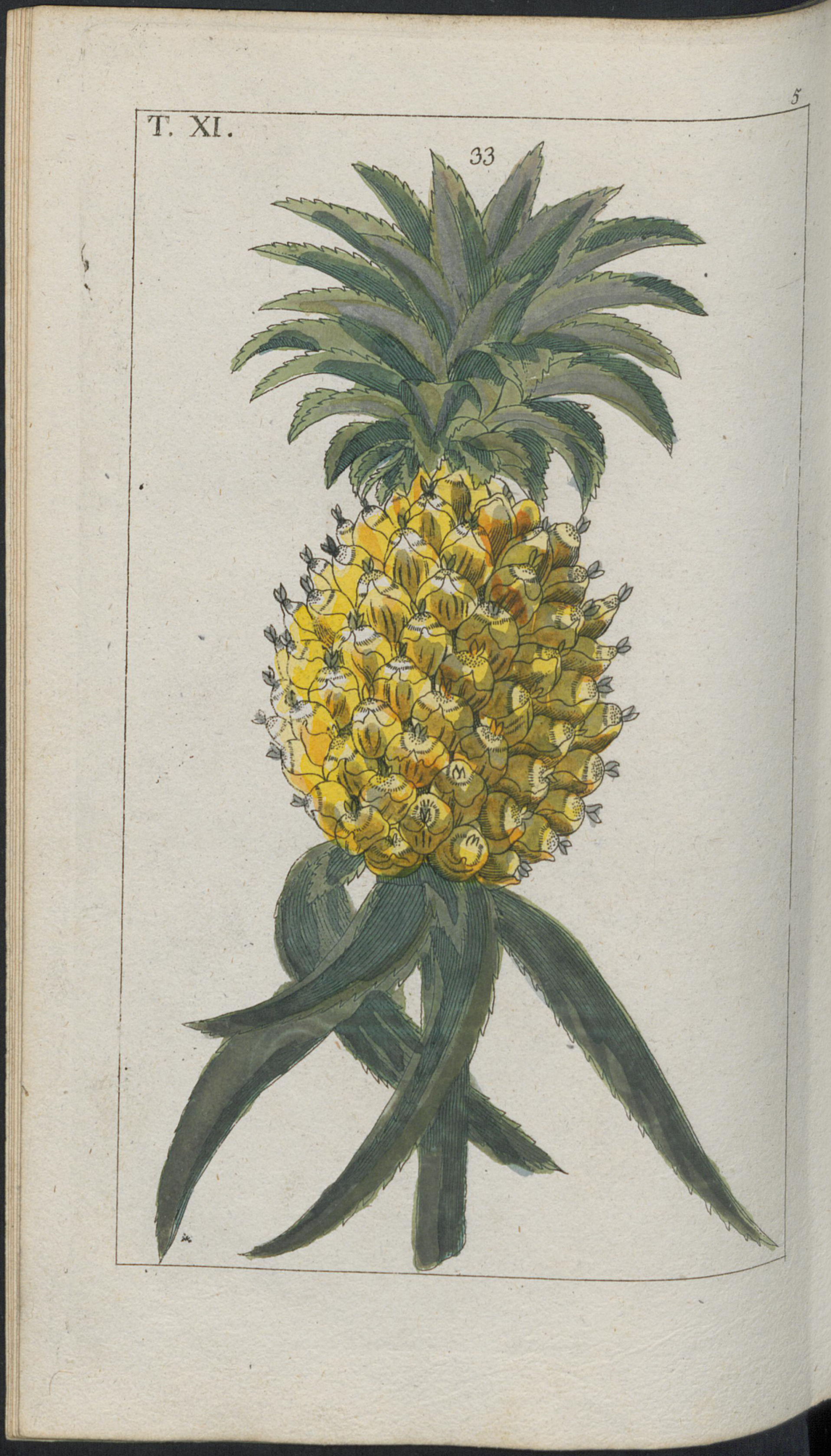 no full size  illustration available (3a)