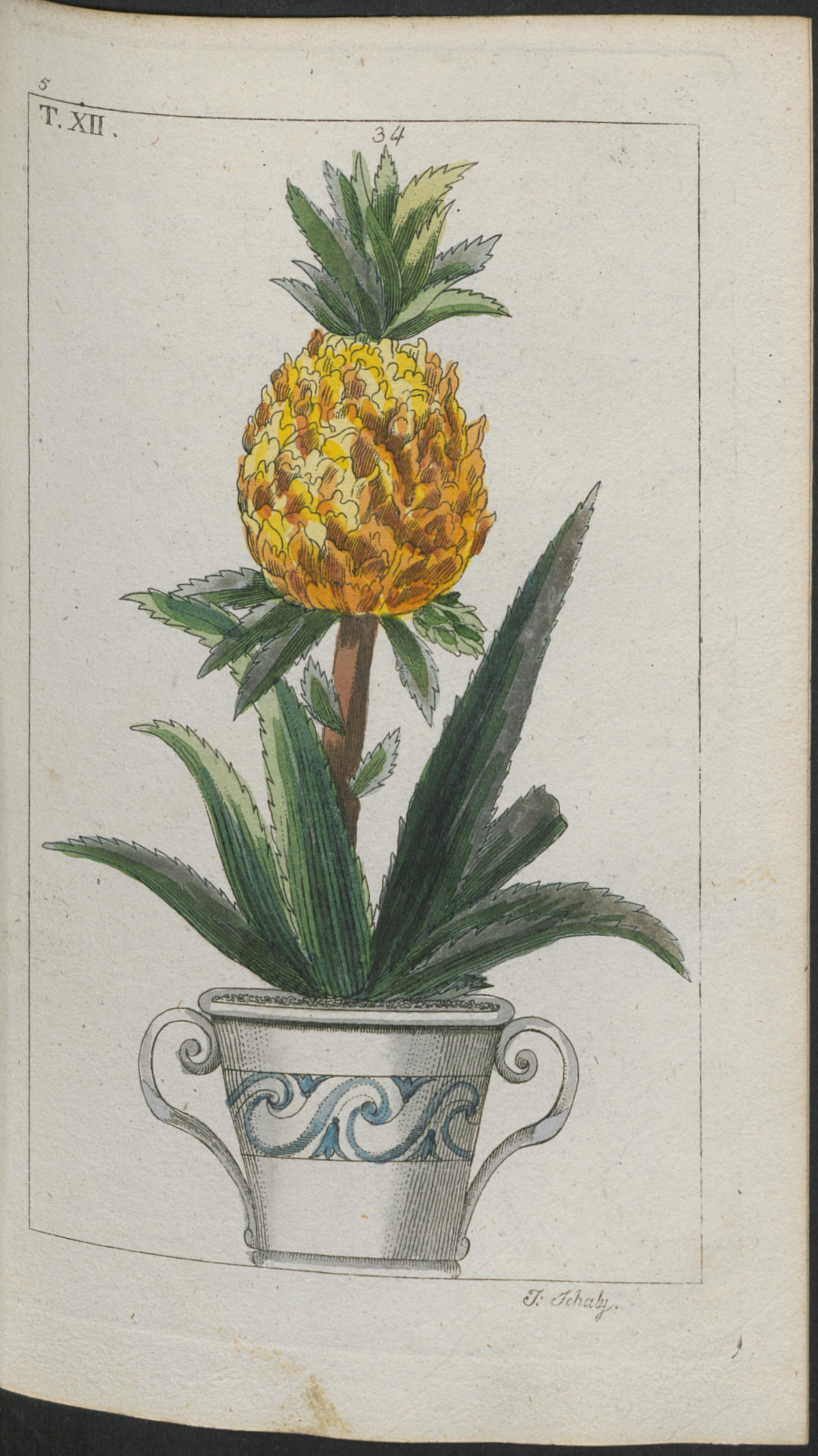 no full size  illustration available (3a)