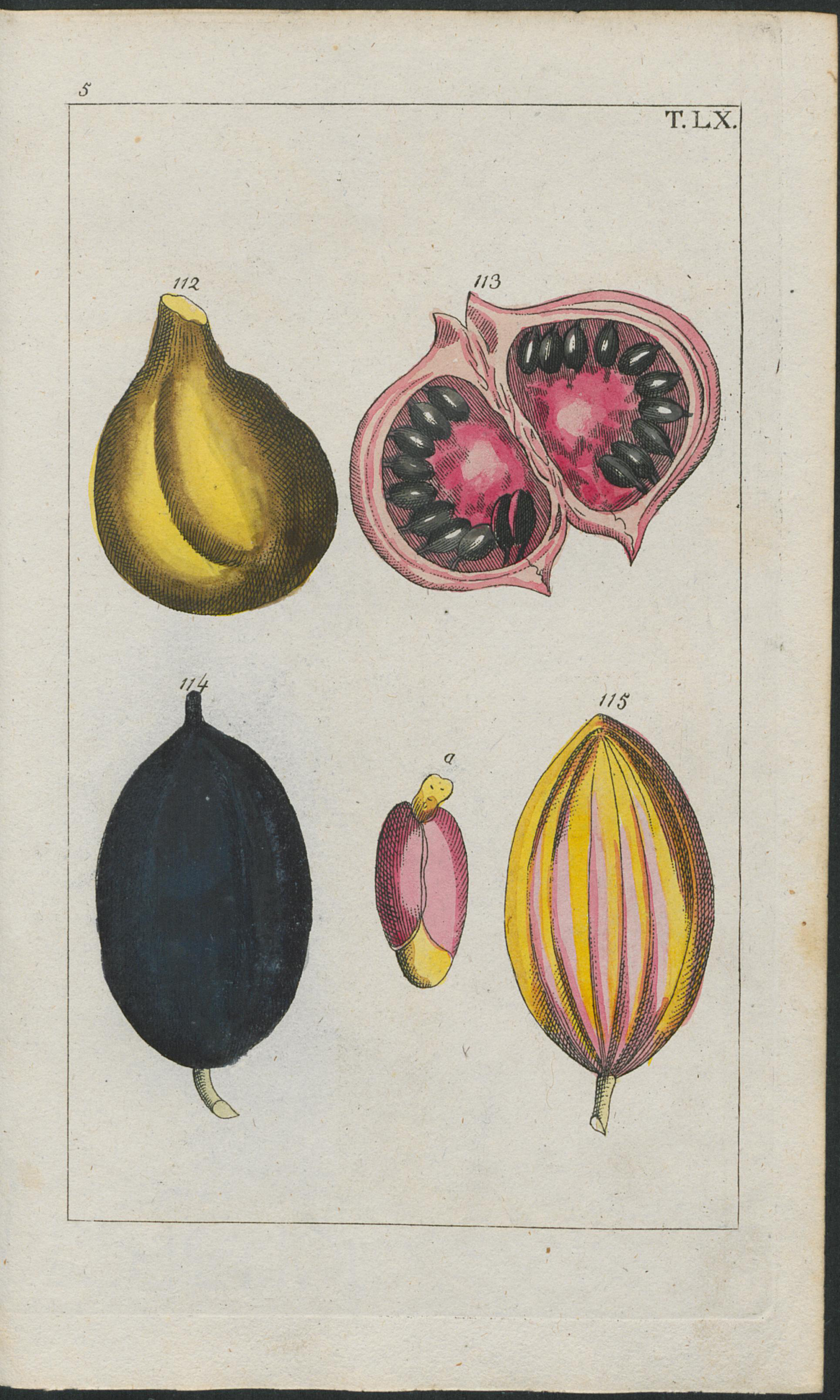 no full size  illustration available (3a)