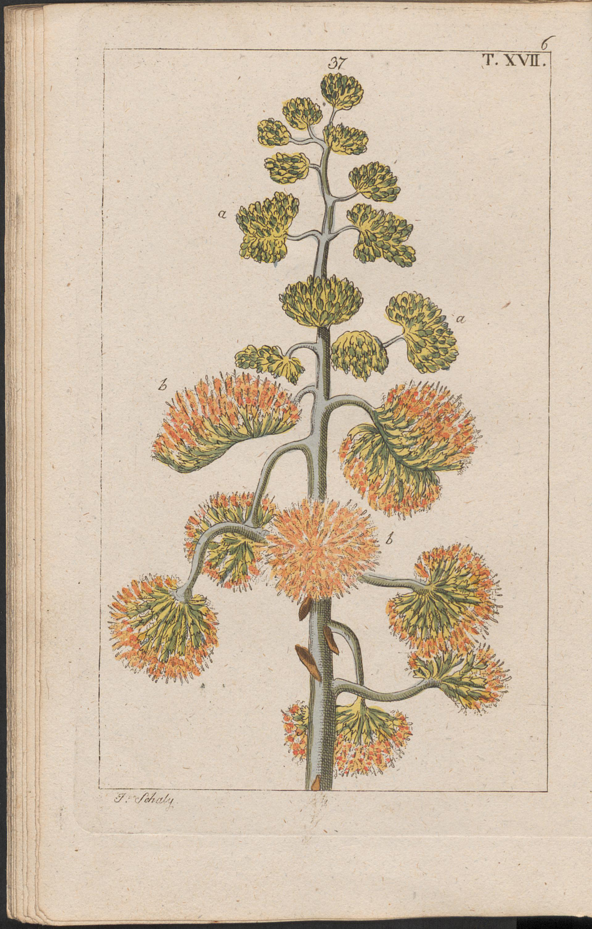 no full size  illustration available (3a)