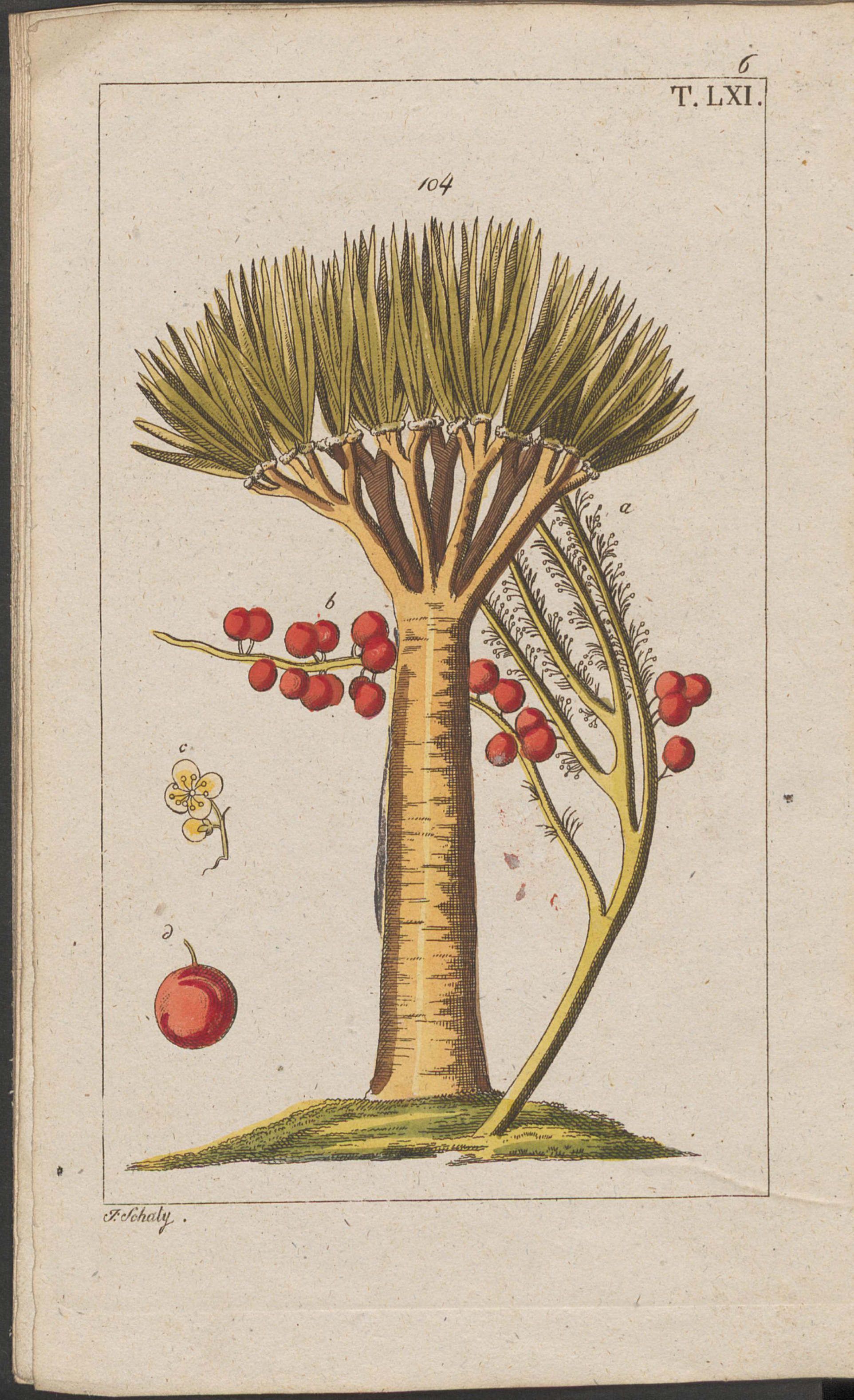 no full size  illustration available (3a)