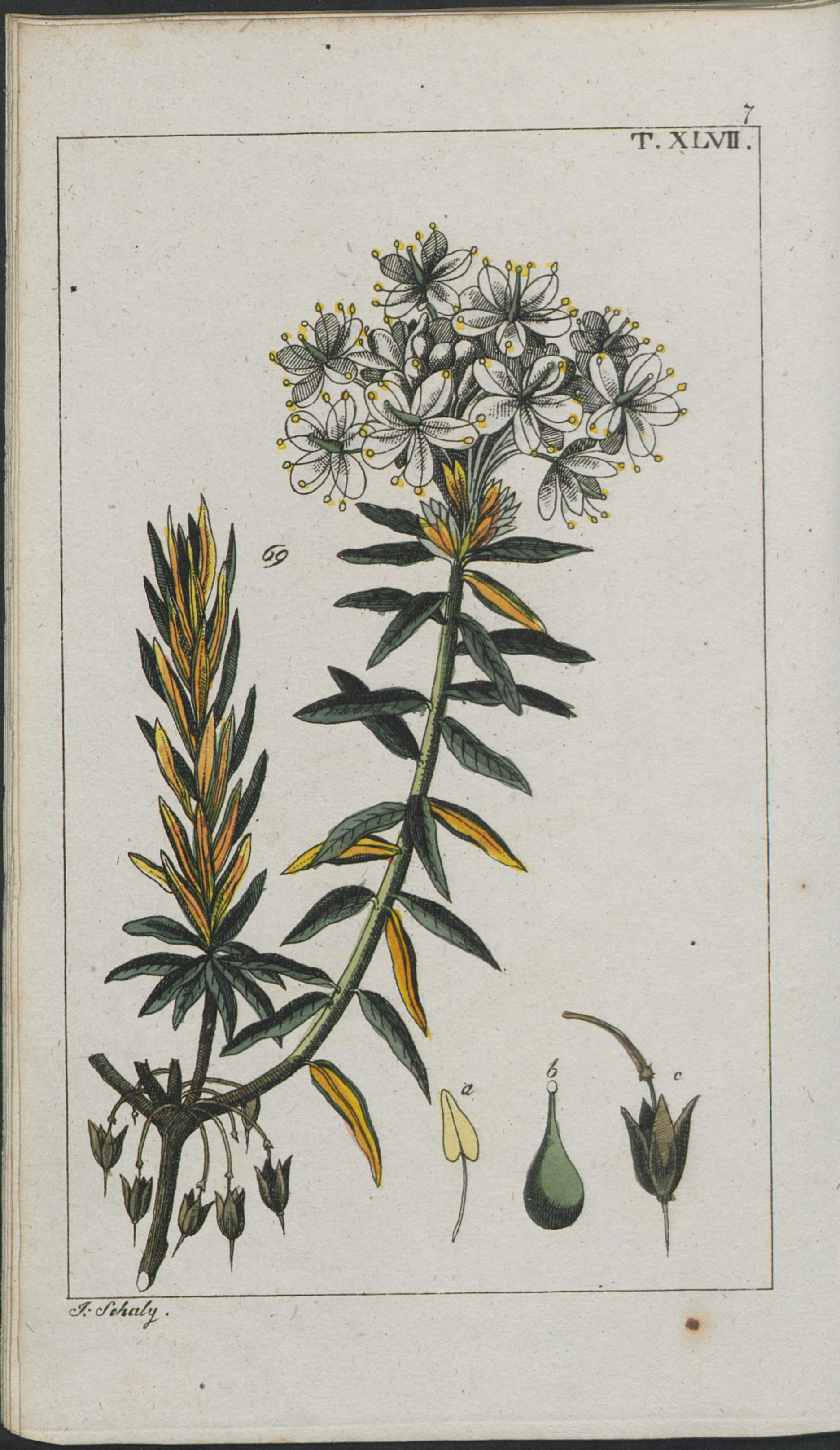 no full size  illustration available (3a)