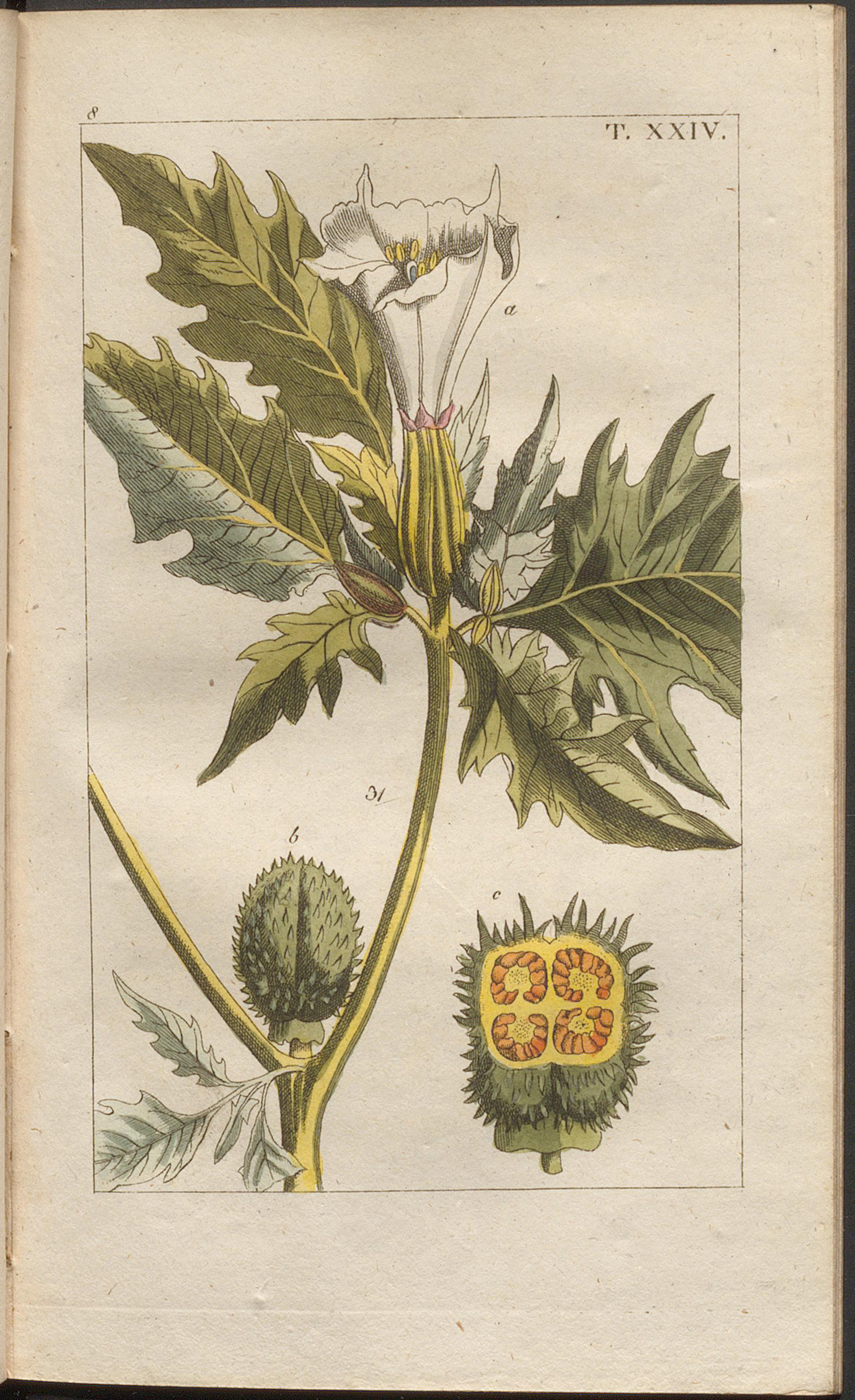 no full size  illustration available (3a)