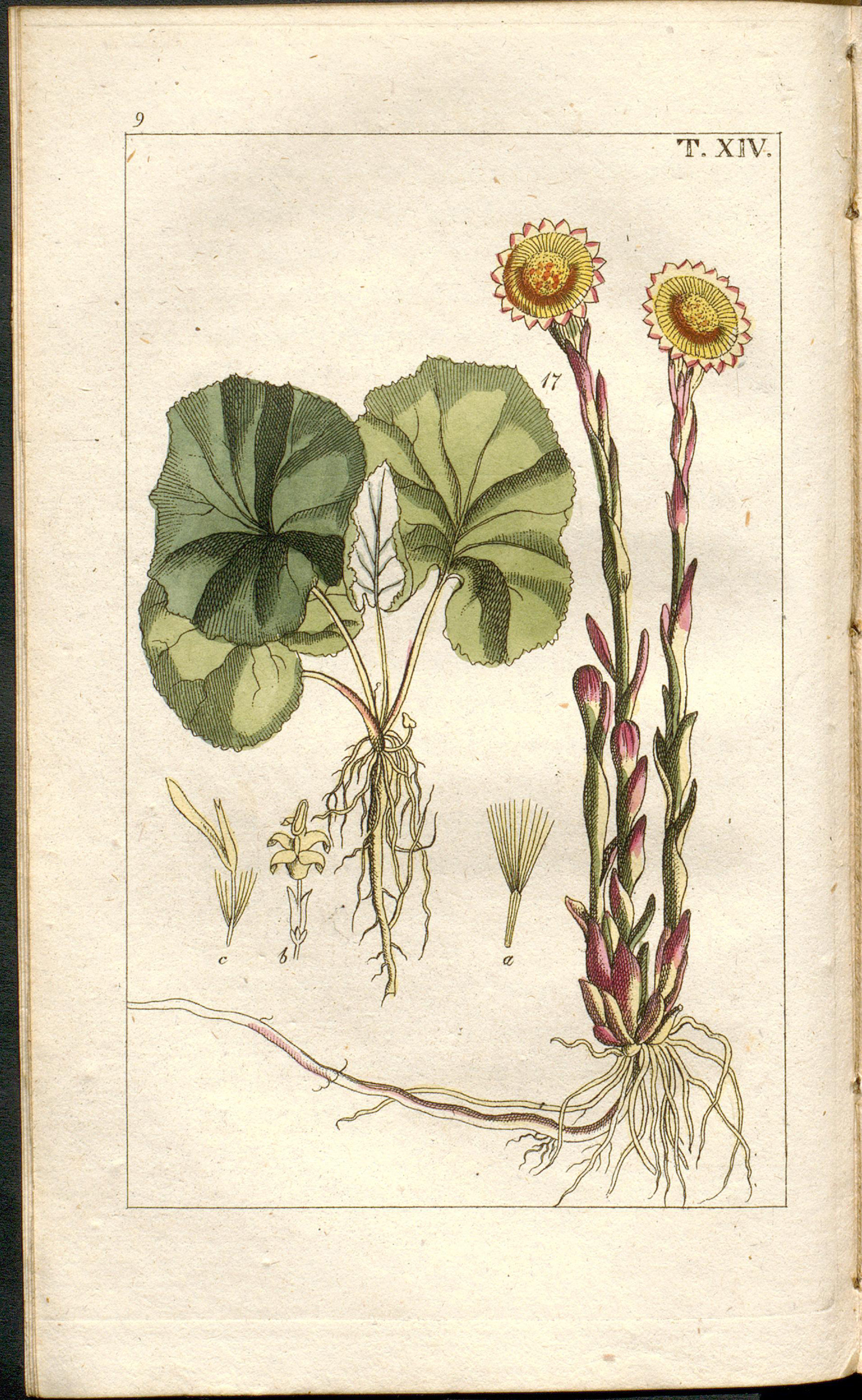 no full size  illustration available (3a)