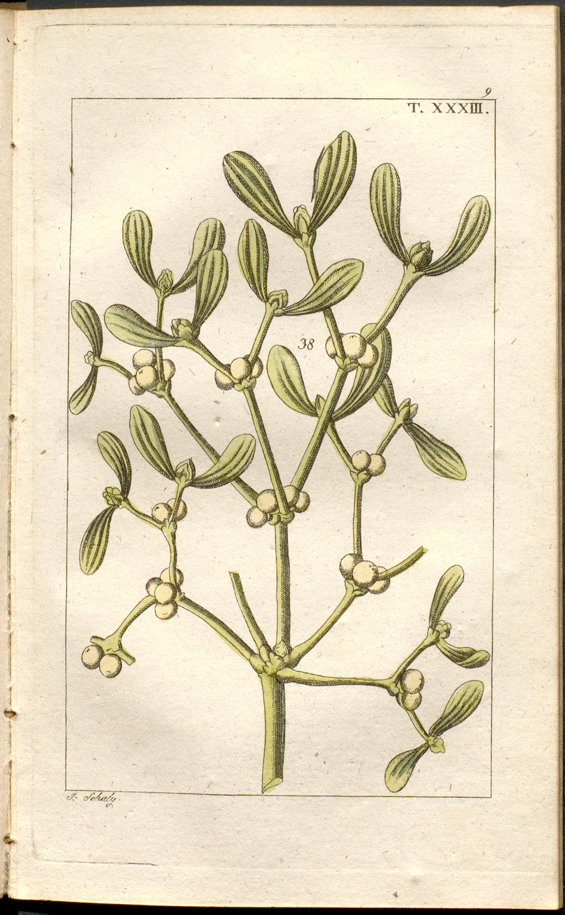 no full size  illustration available (3a)