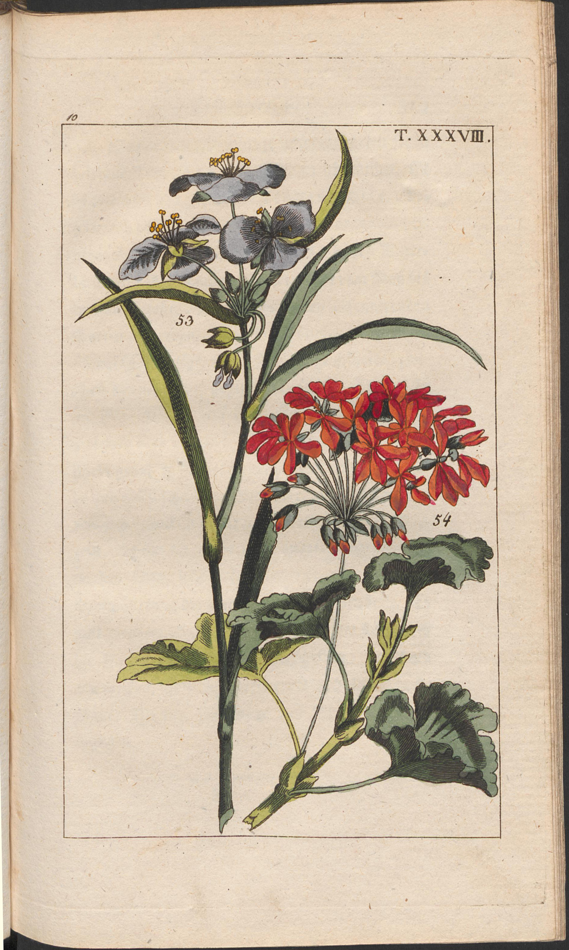 no full size  illustration available (3a)